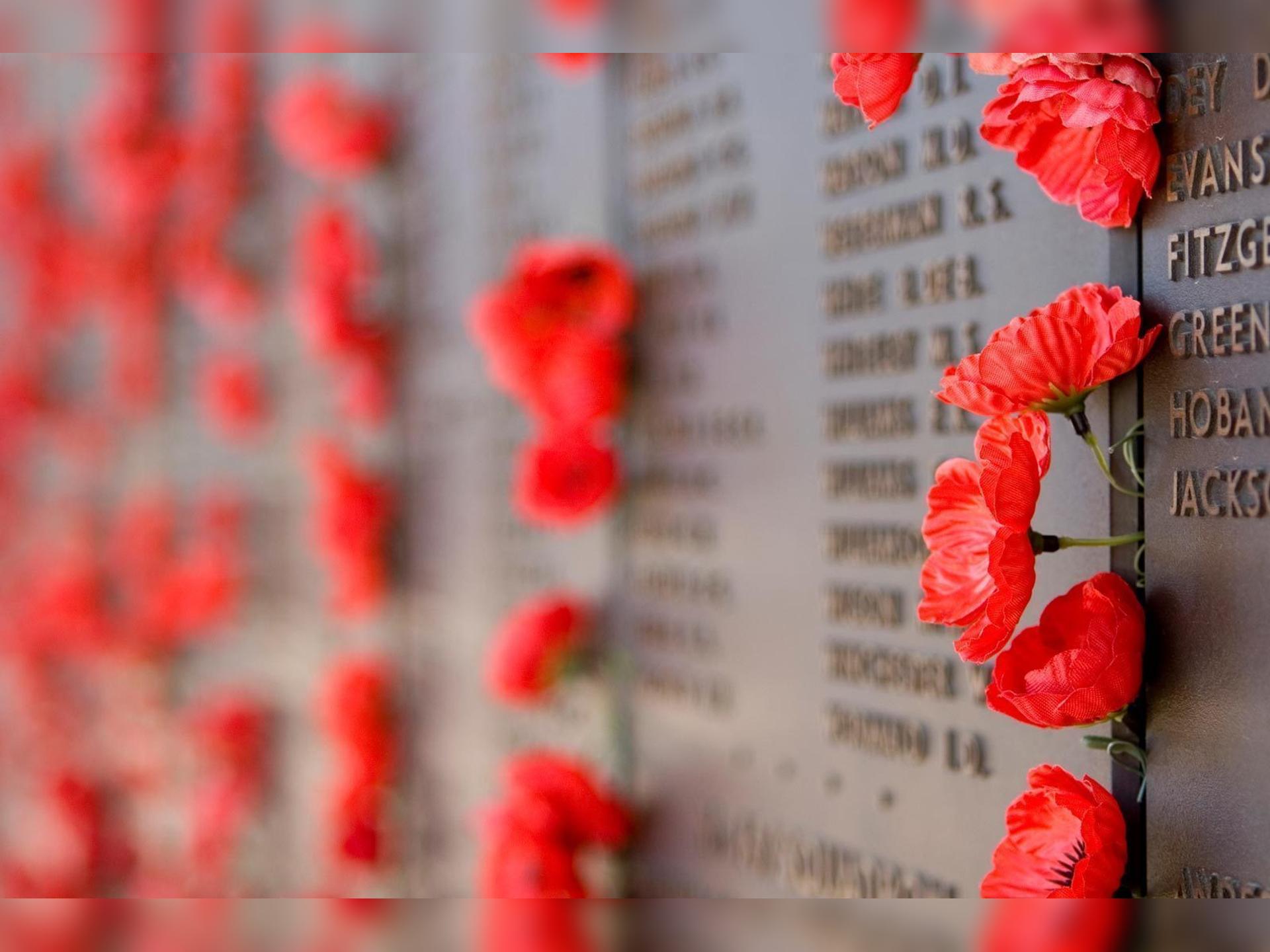 Remembrance Sunday Military Tour