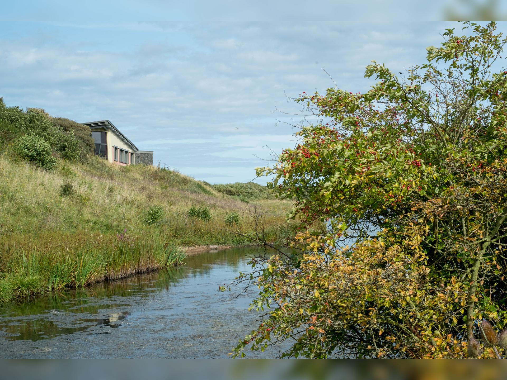 Autumn wildlife talk and supper club