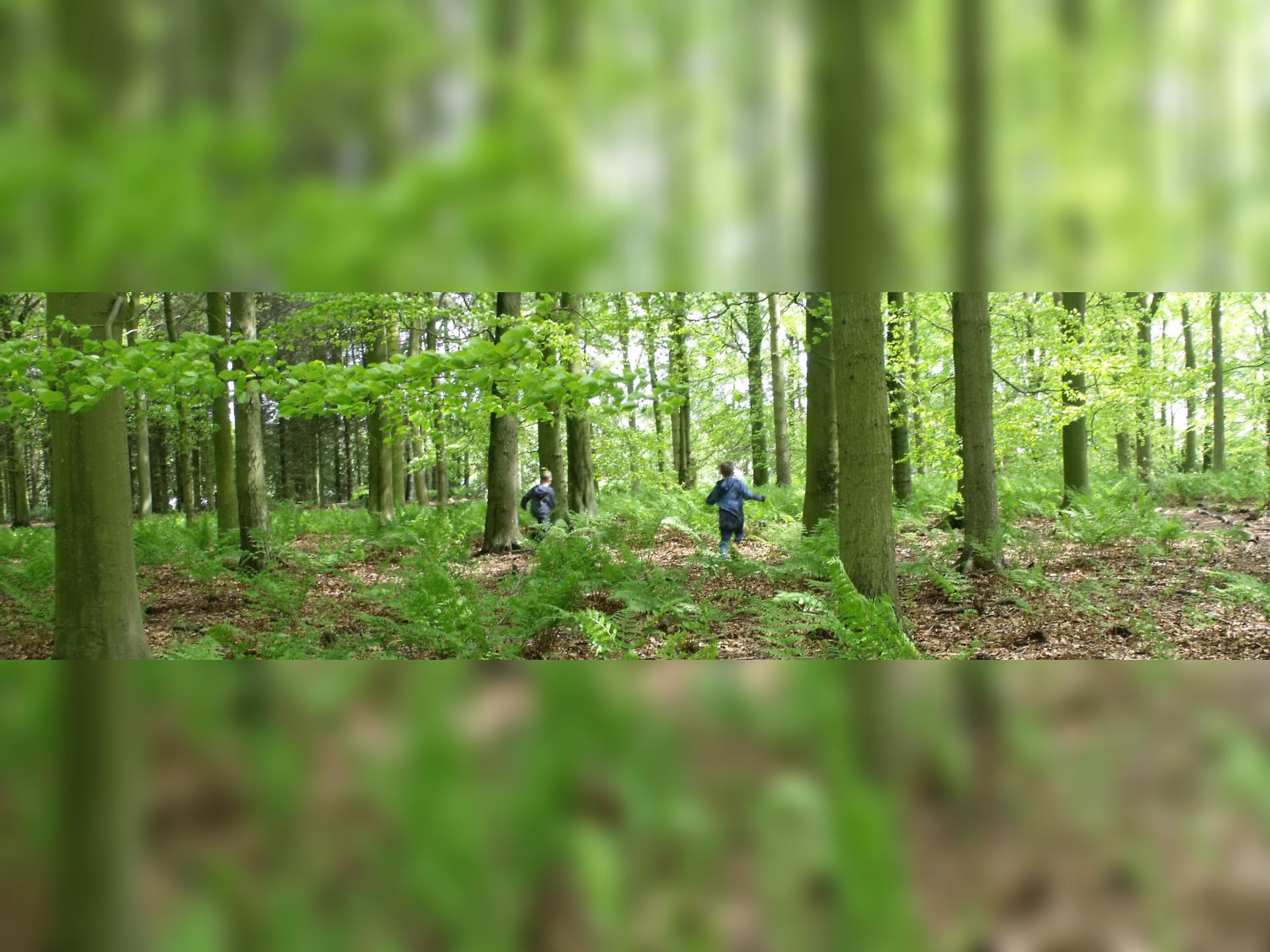 Halloween nature funday