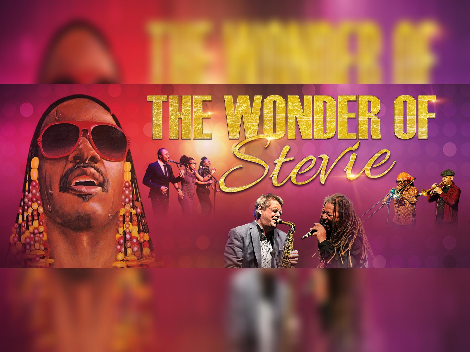 The Wonder of Stevie