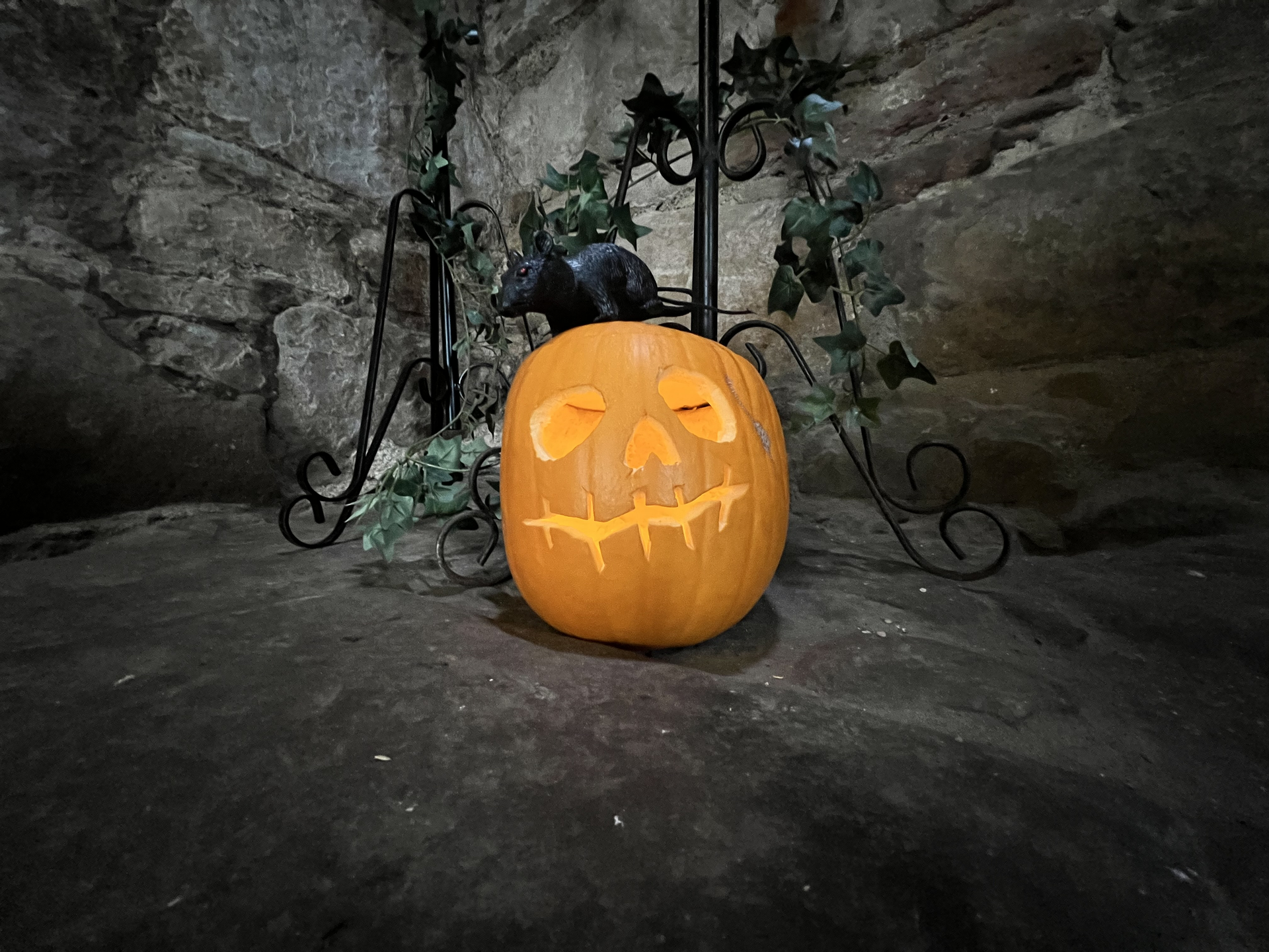 Halloween Shenanigans at Craig-Thriller Castle