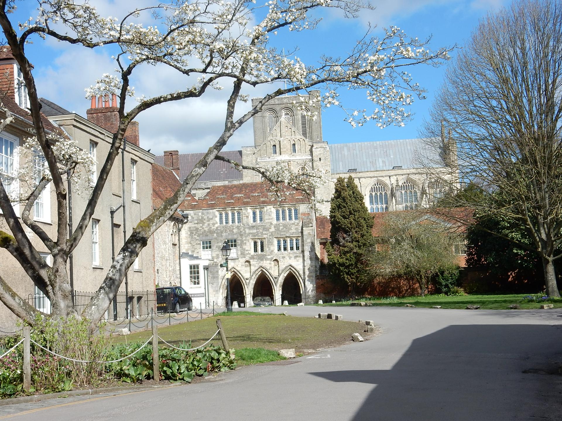 Curious About Winchester