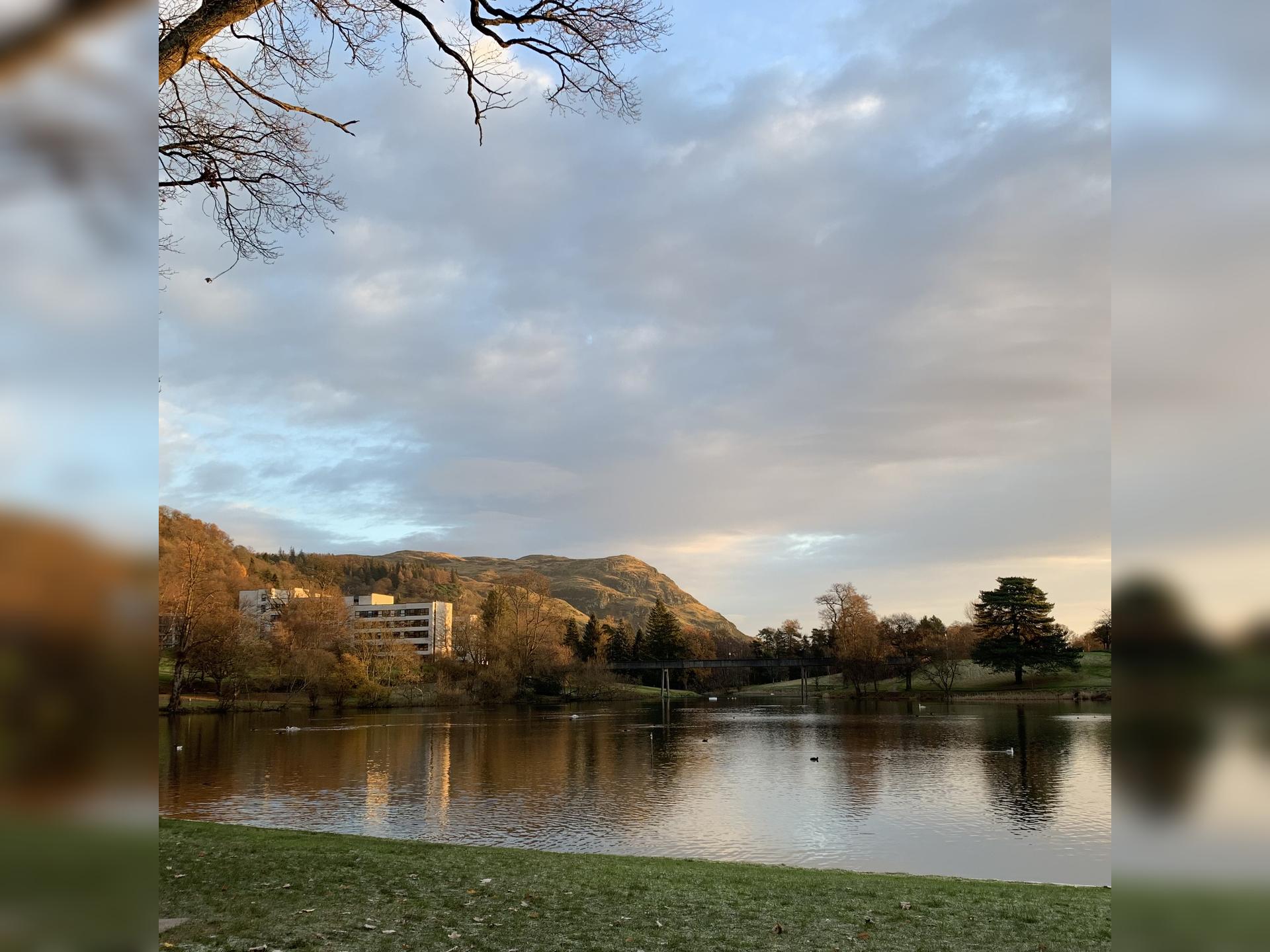 Bird Walk around Airthrey Loch with the RSPB