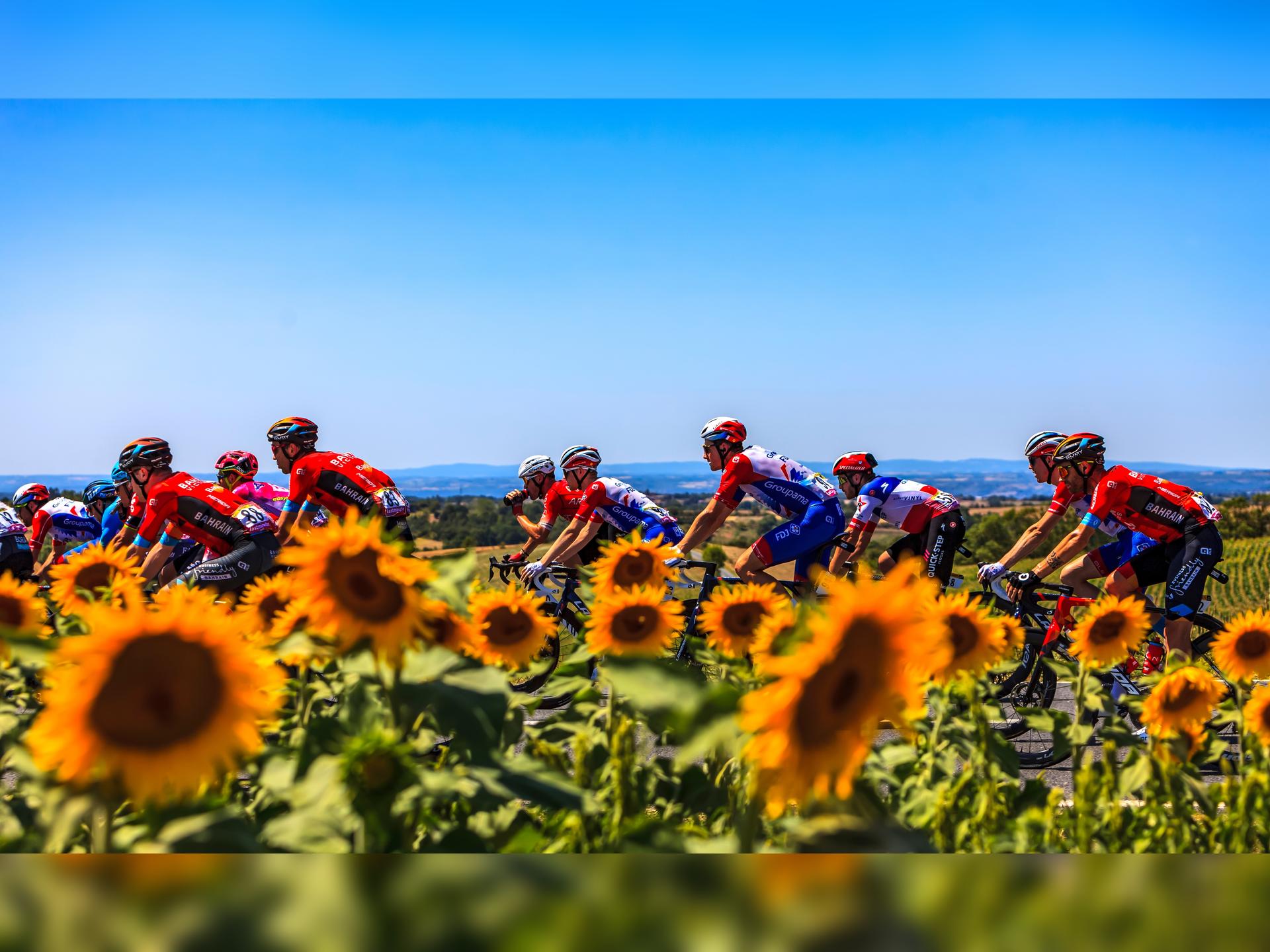 Matt Rendell's Inside Stories of the Tour de France