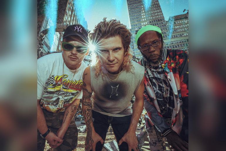 Too Many Zooz