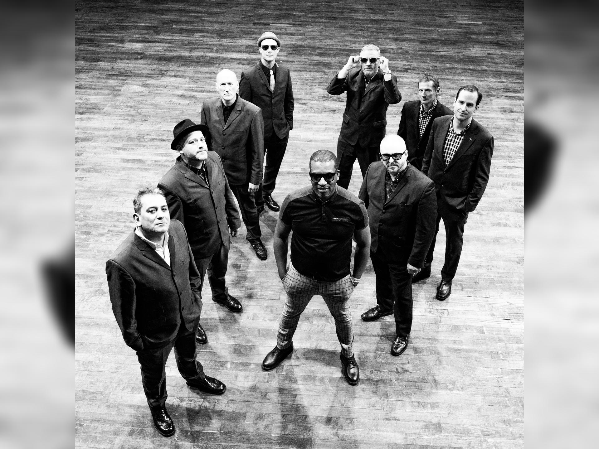 The Specials Ltd.