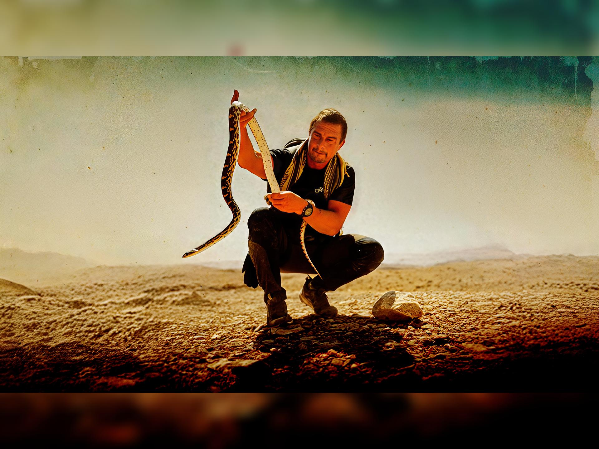 Bear Grylls: Never Give Up