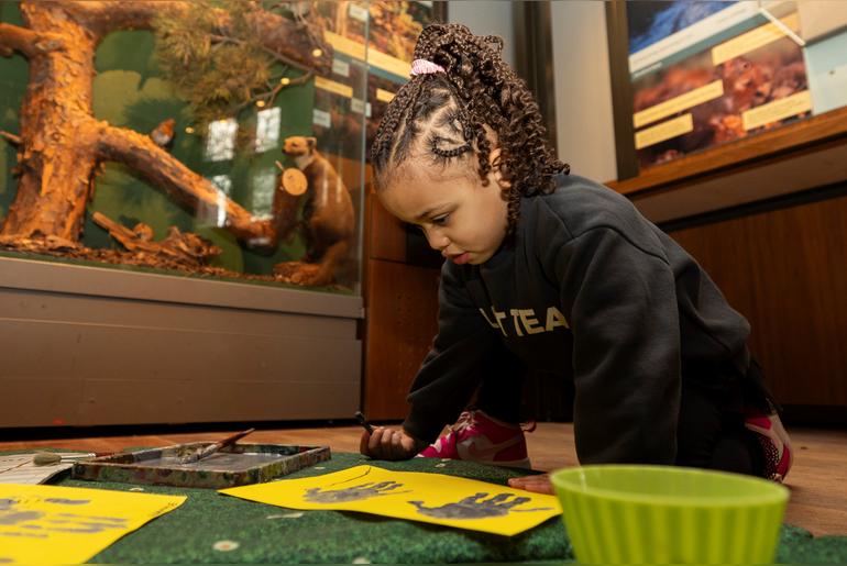 Mini Museum Explorers