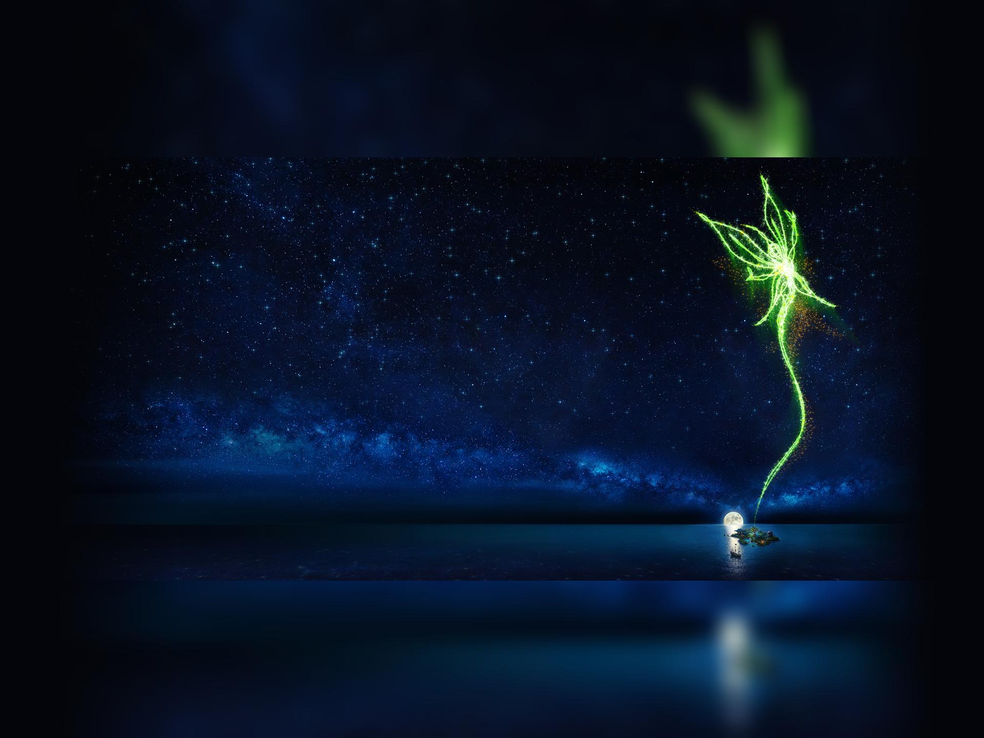 Peter Pan - a musical adventure