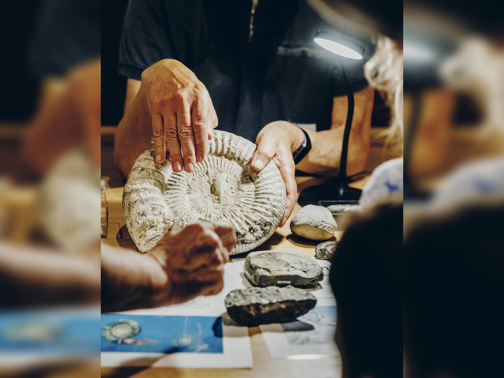 Fossil Handling with the Rotunda Geology Group