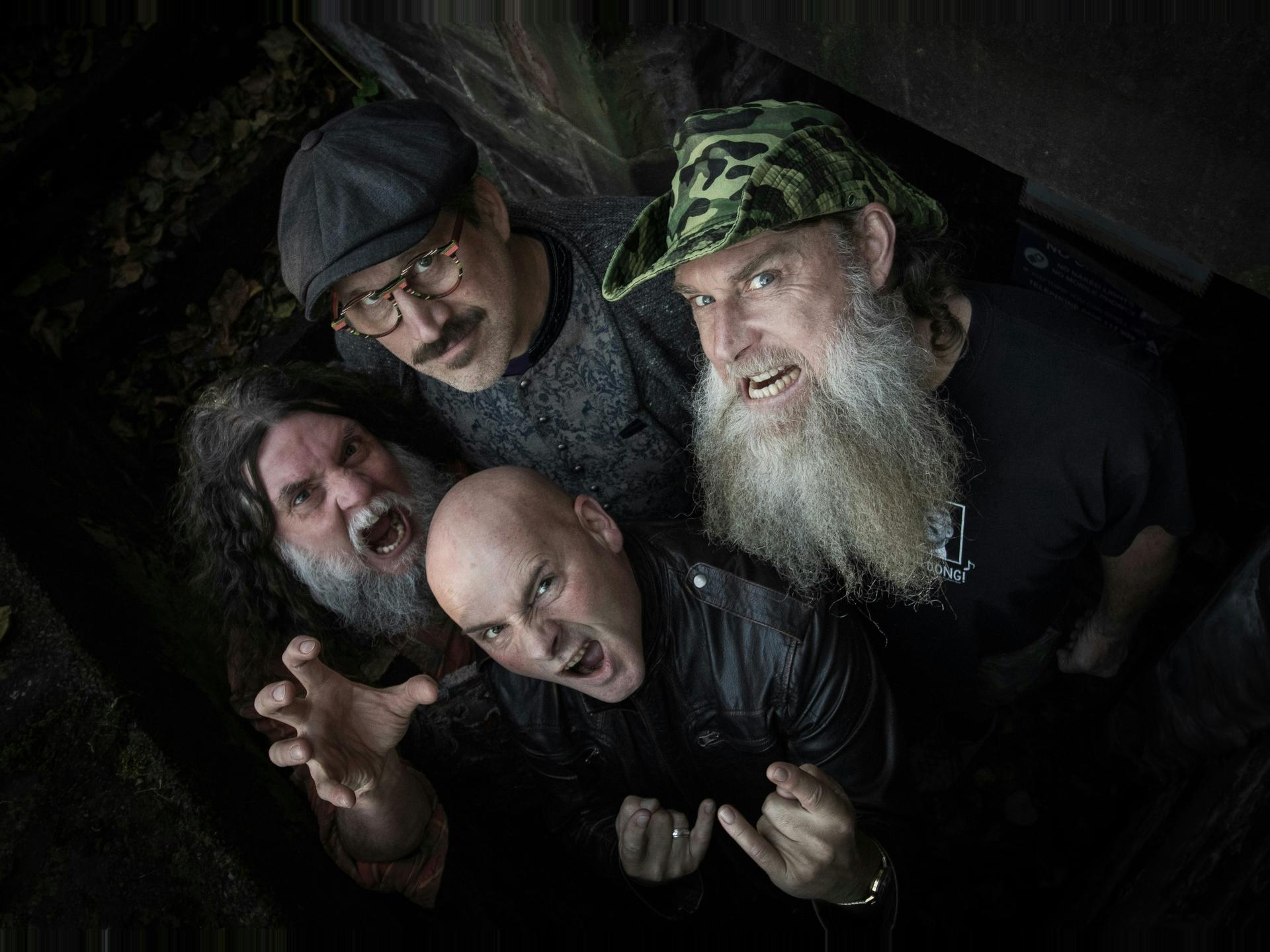 Hayseed Dixie