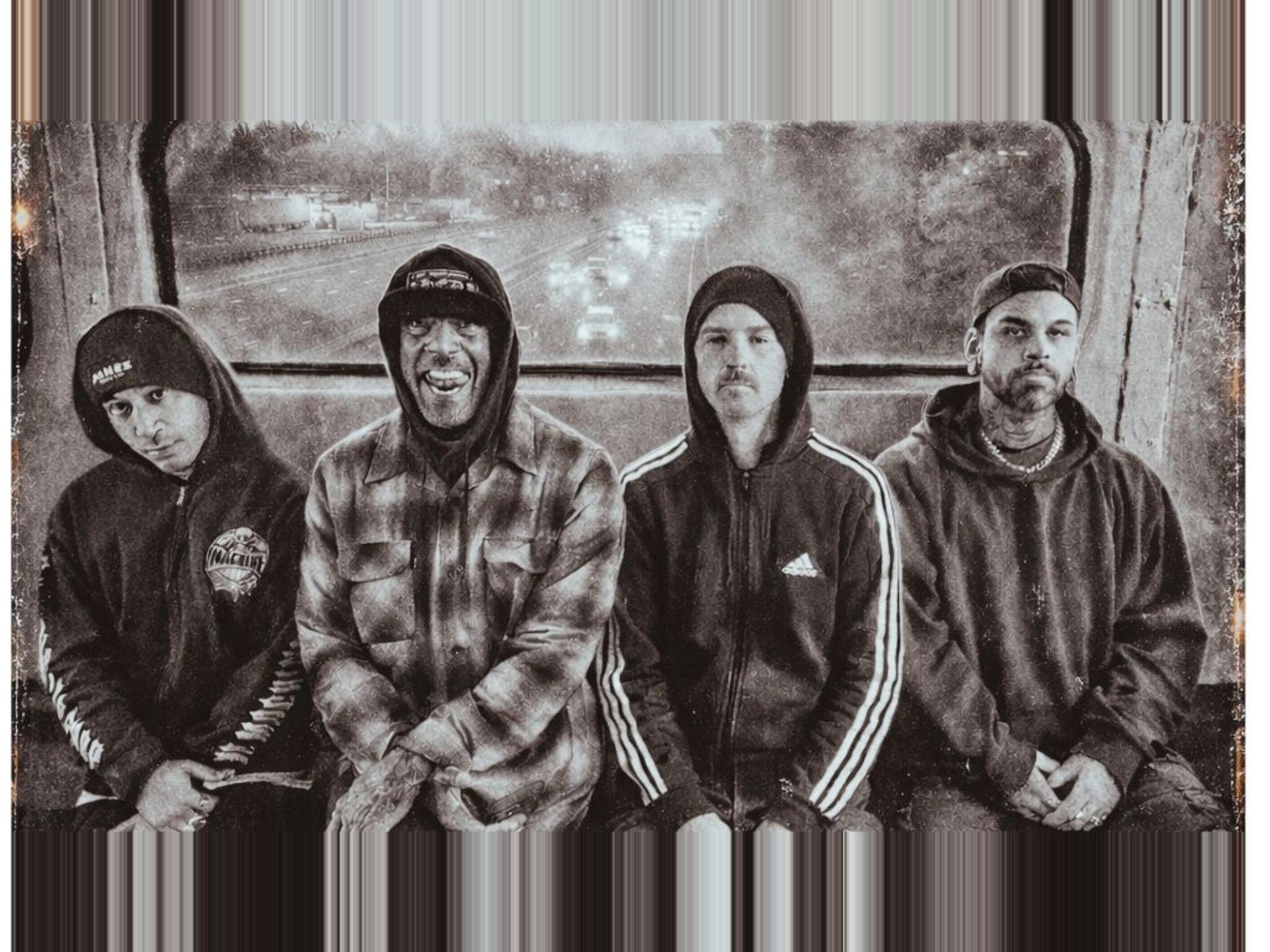 Hed Pe X Cold