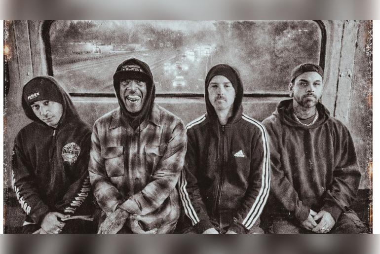 Hed Pe X Cold