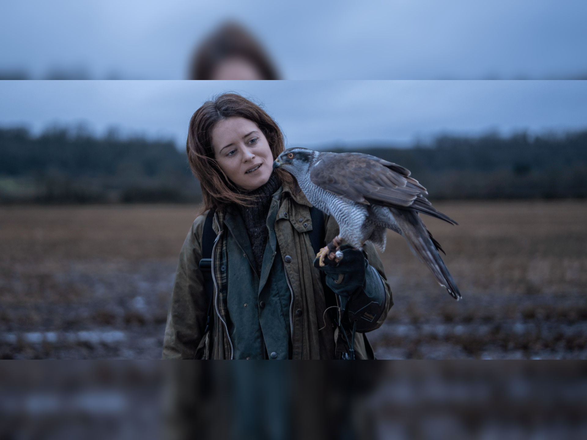 H is for Hawk