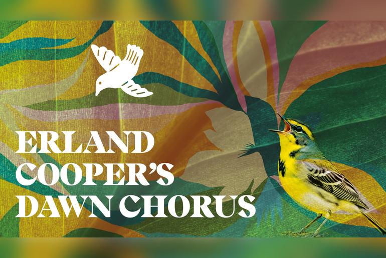 Erland Cooper's Dawn Chorus