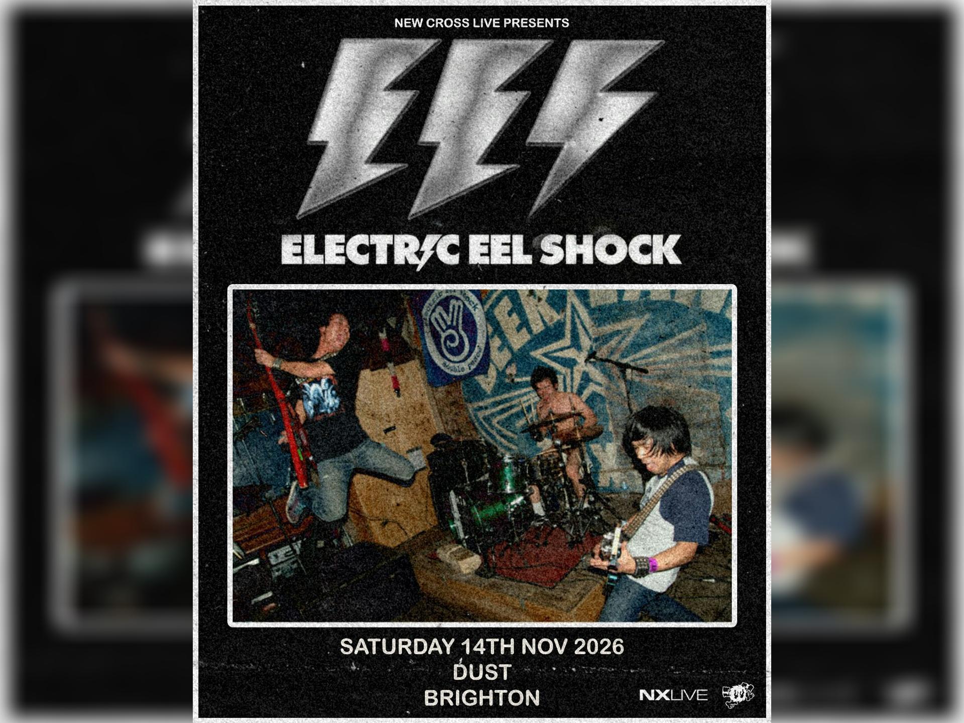 Electric Eel Shock