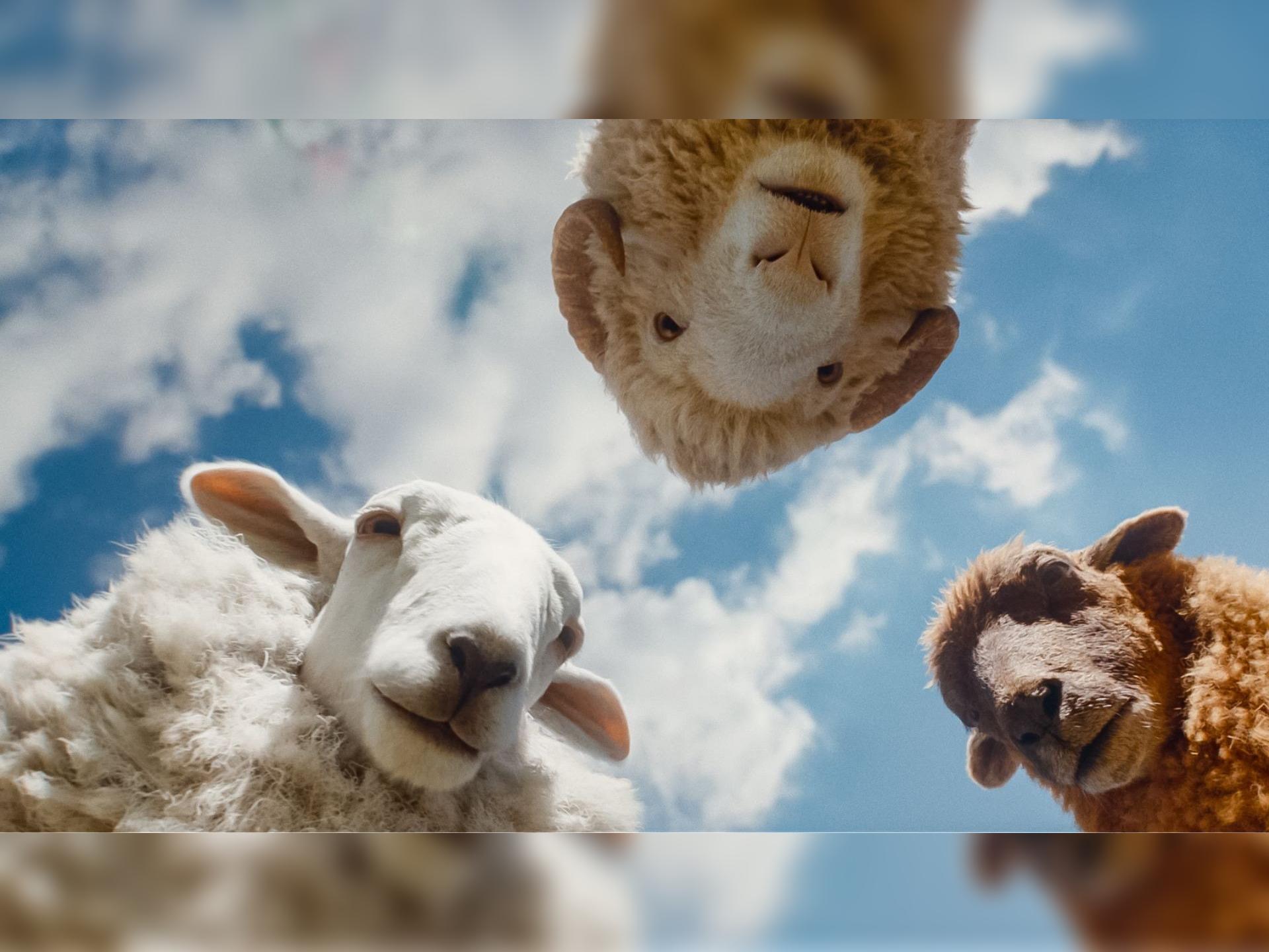 The Sheep Detectives