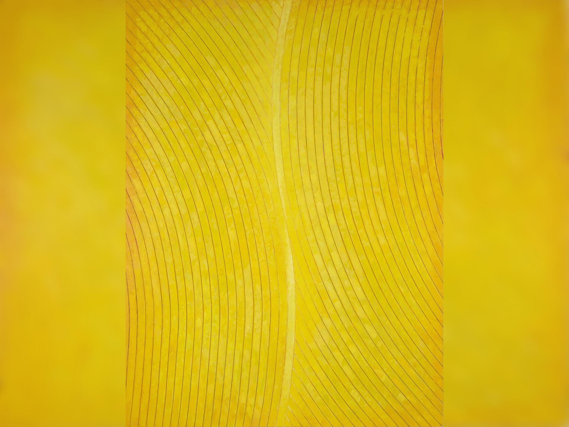 Kenneth Dingwall: Being