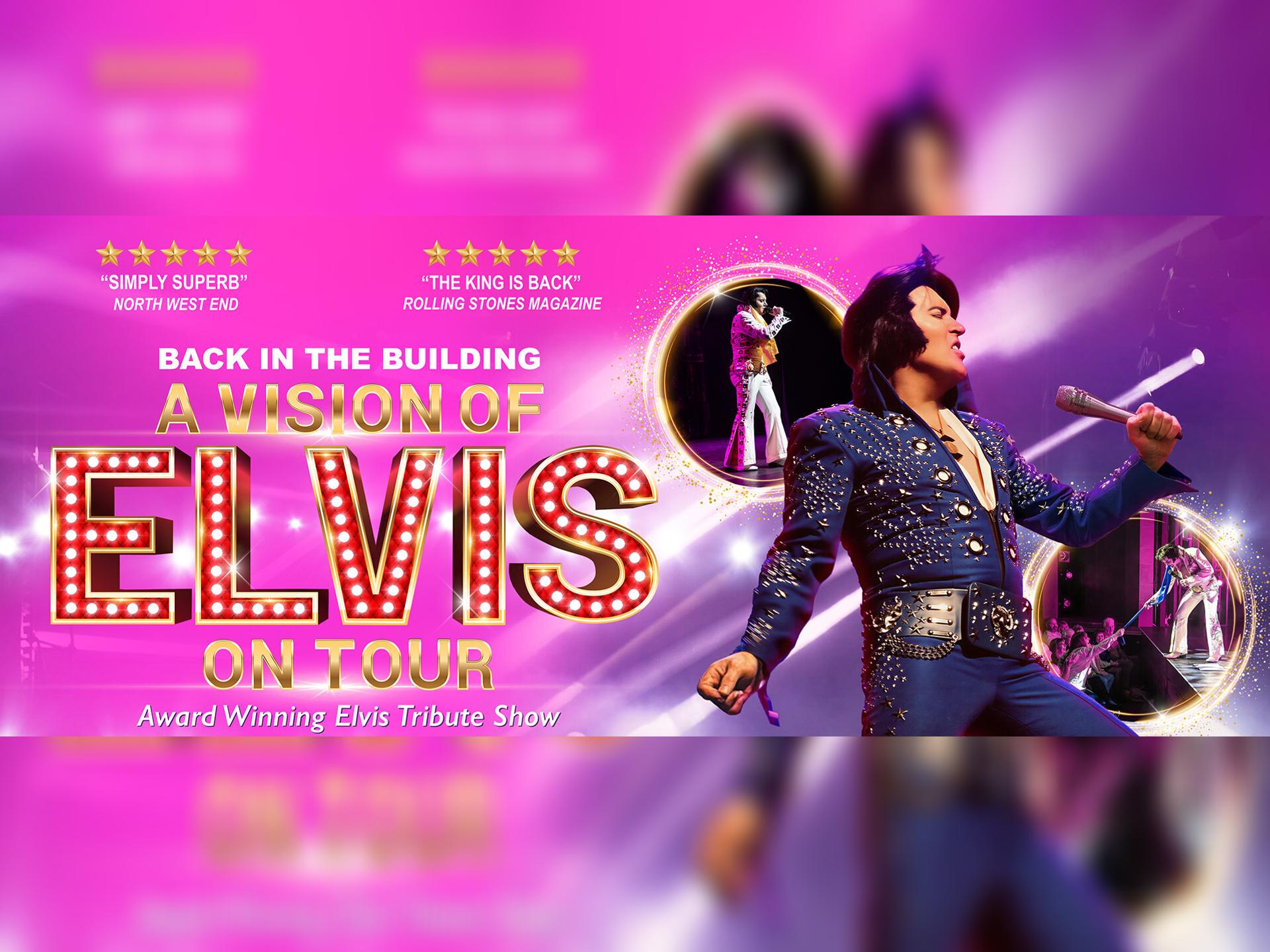 A Vision of Elvis