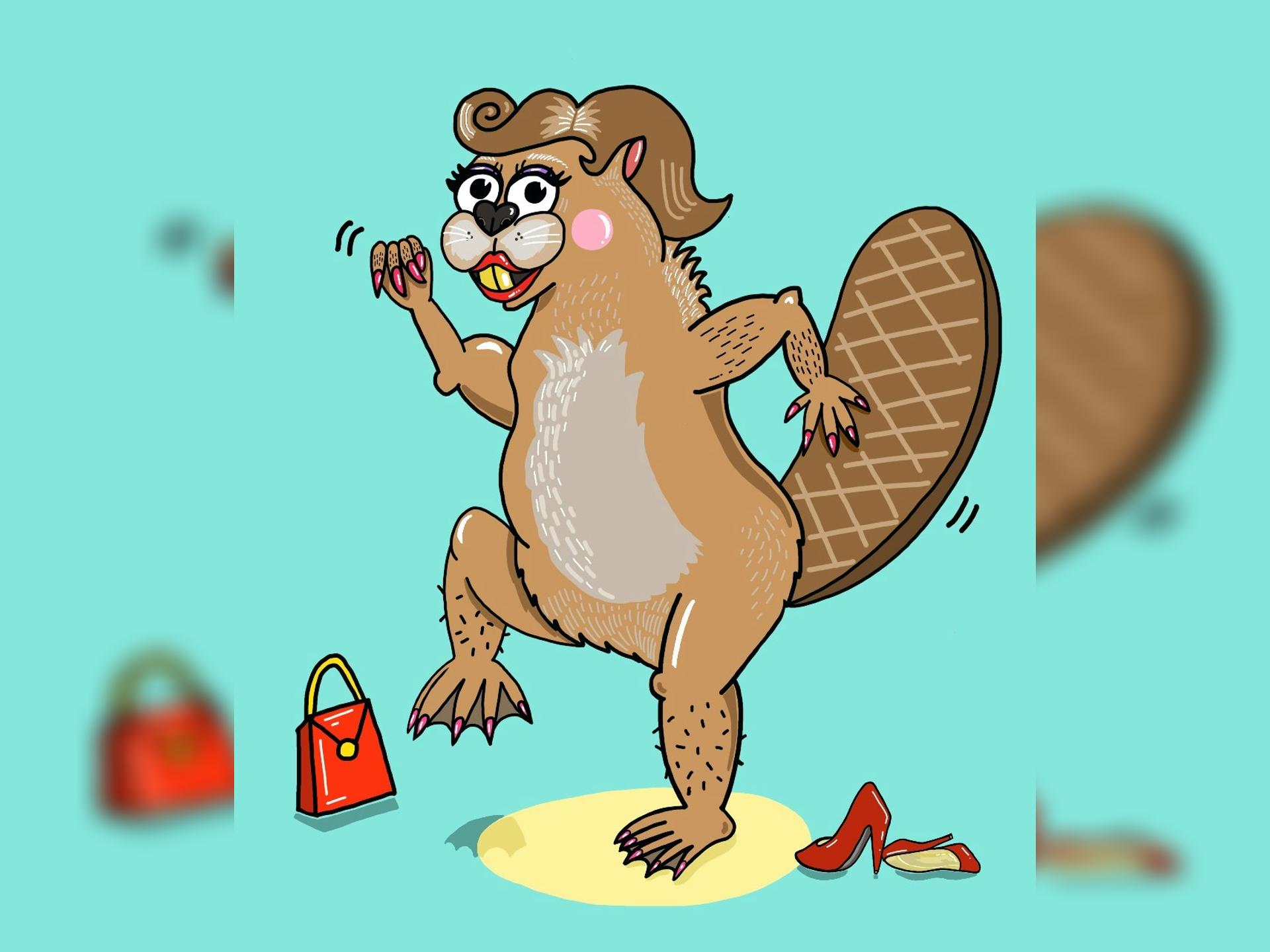 Grey Beaver