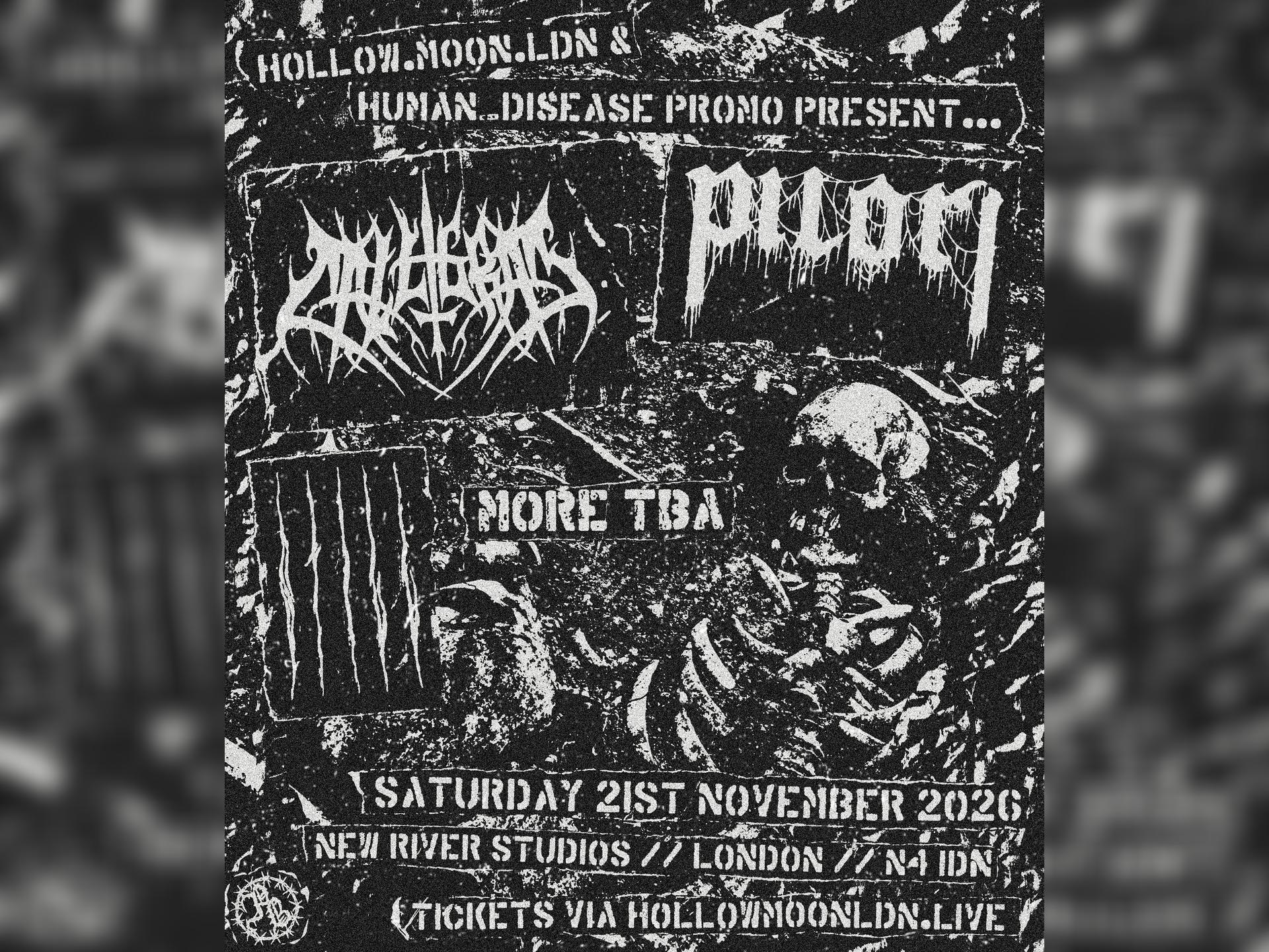 Calligram / Pilori / Still + More