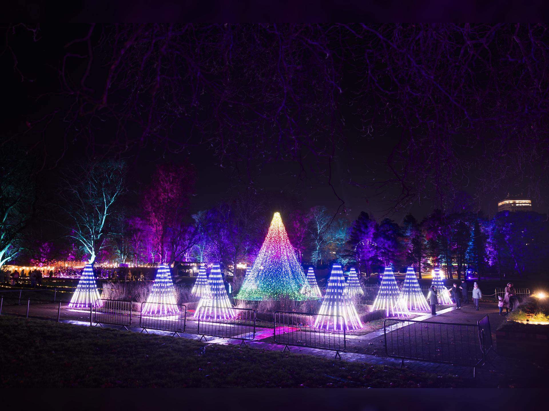 Northern Lights Leicester - Immersive Light Trail
