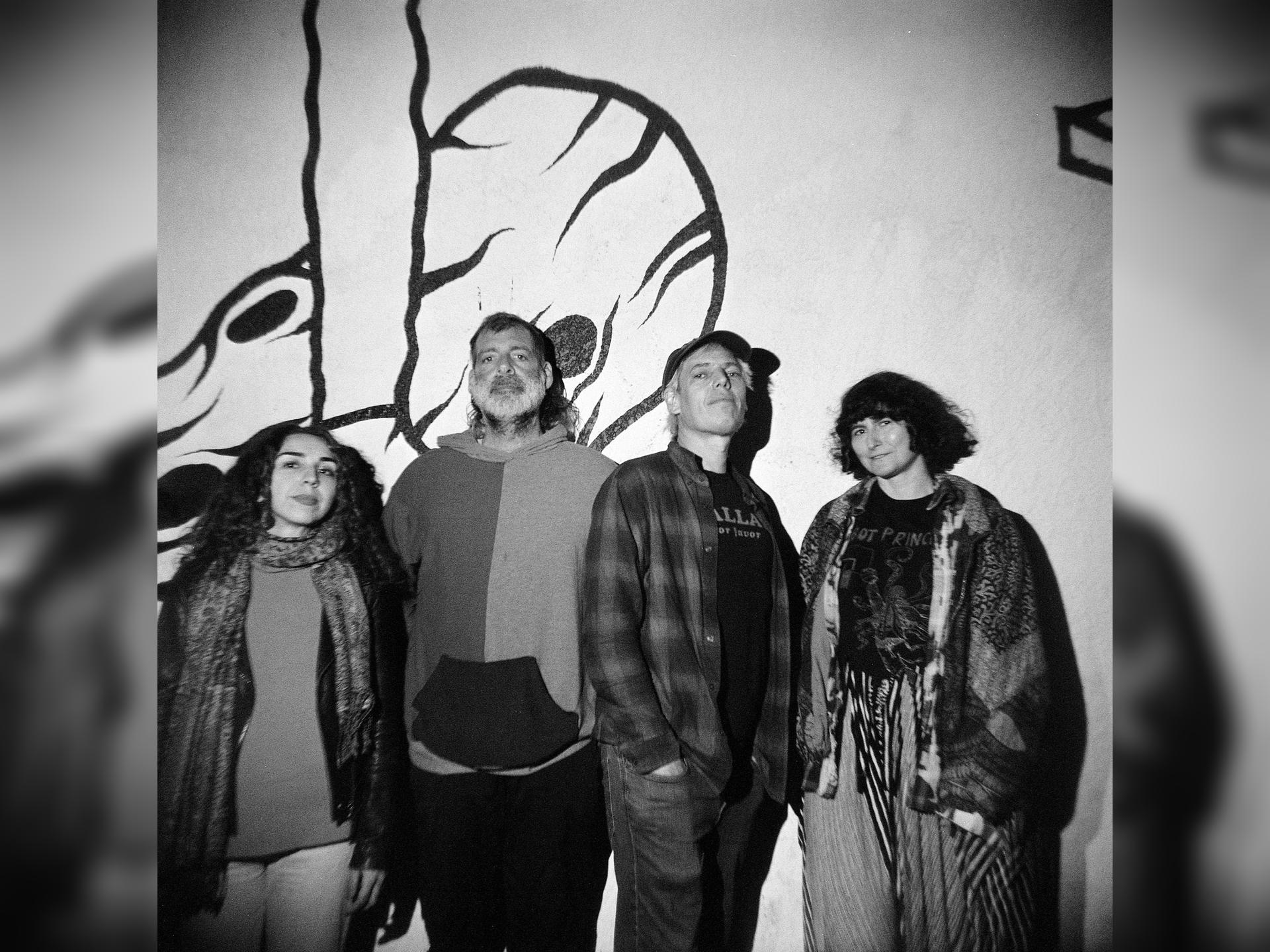 Jeffrey Lewis & The Voltage