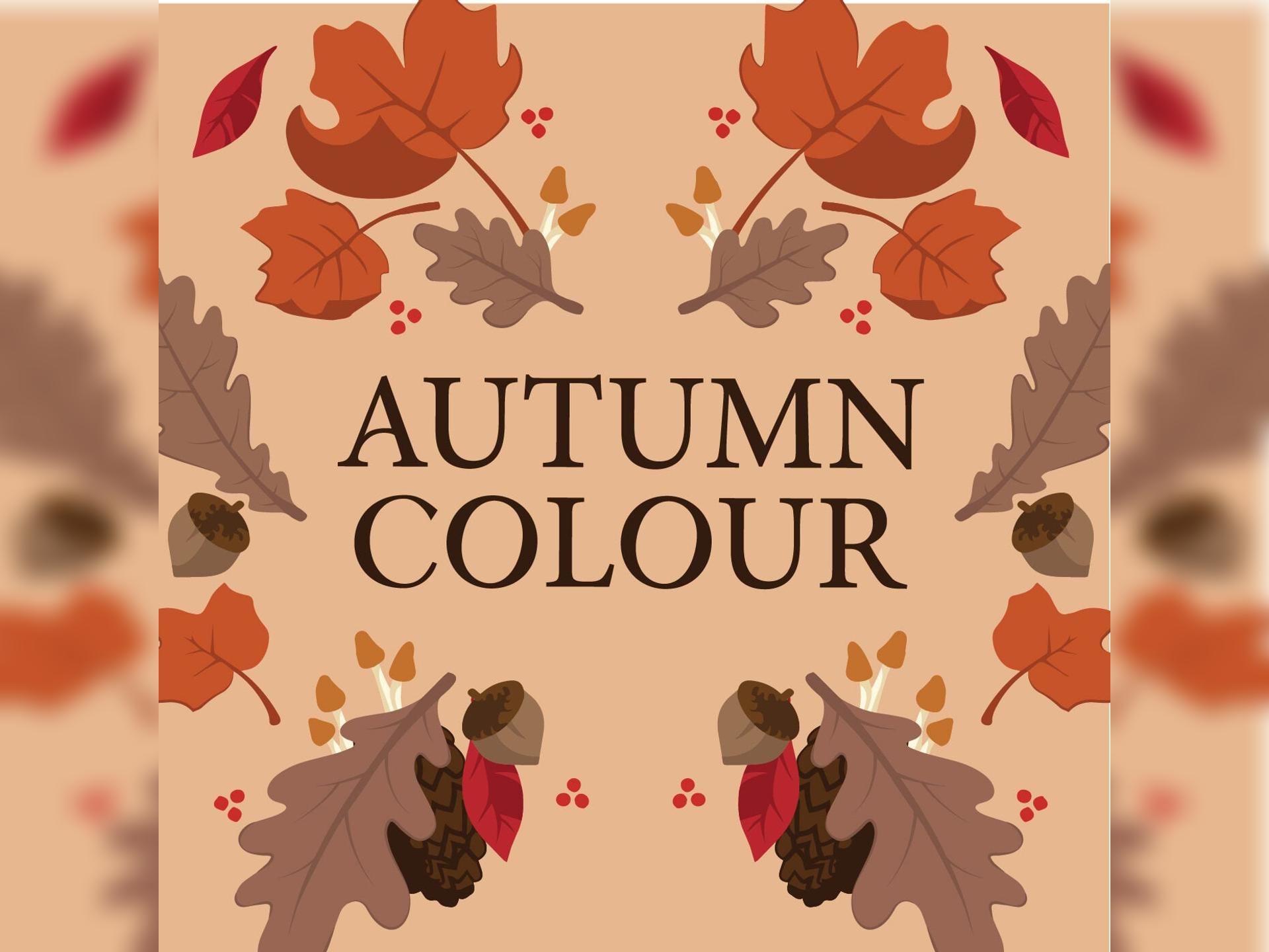 Autumn Colour 2026