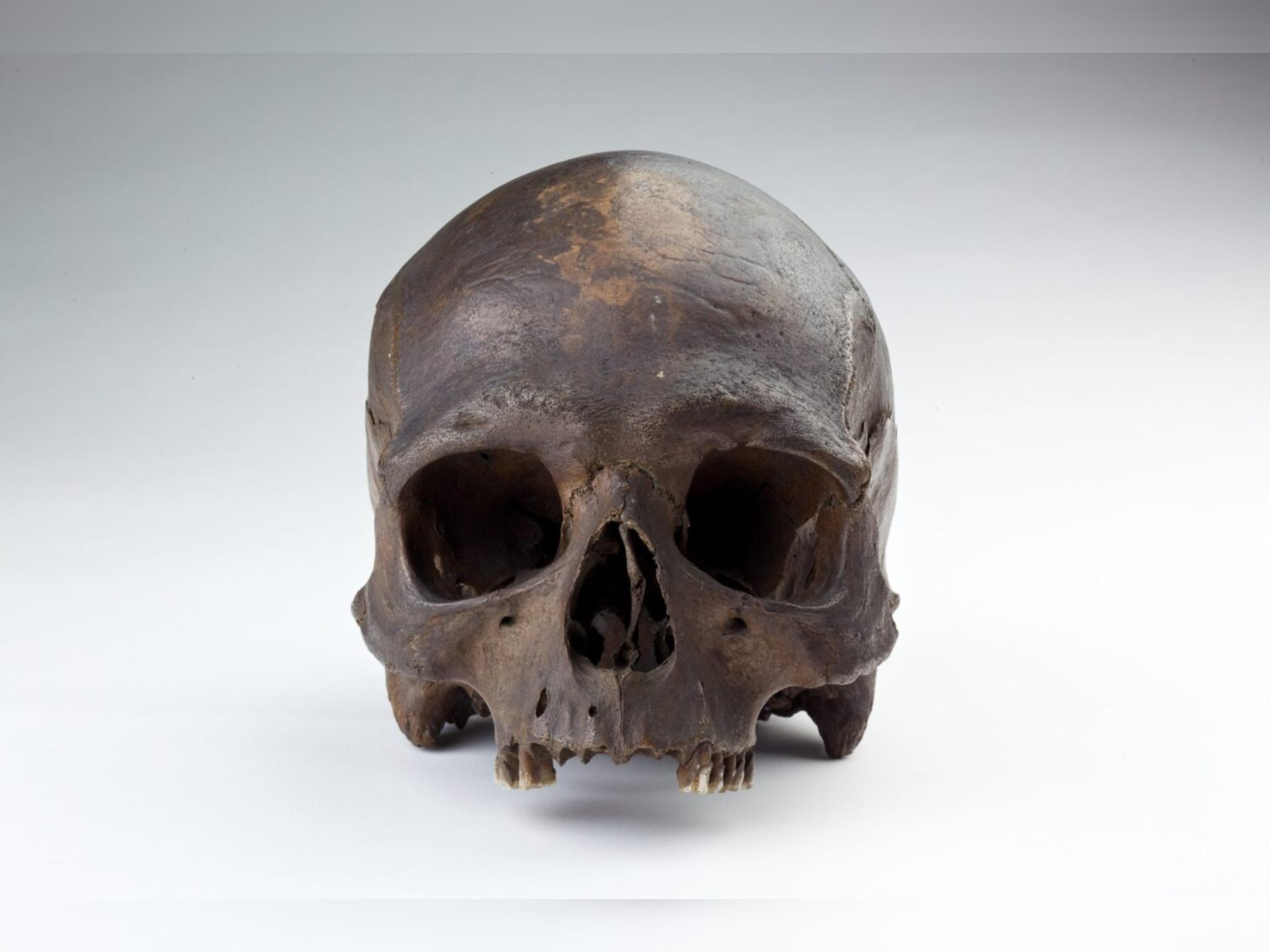 Preston Docks Skulls with Harris Volunteer Fran