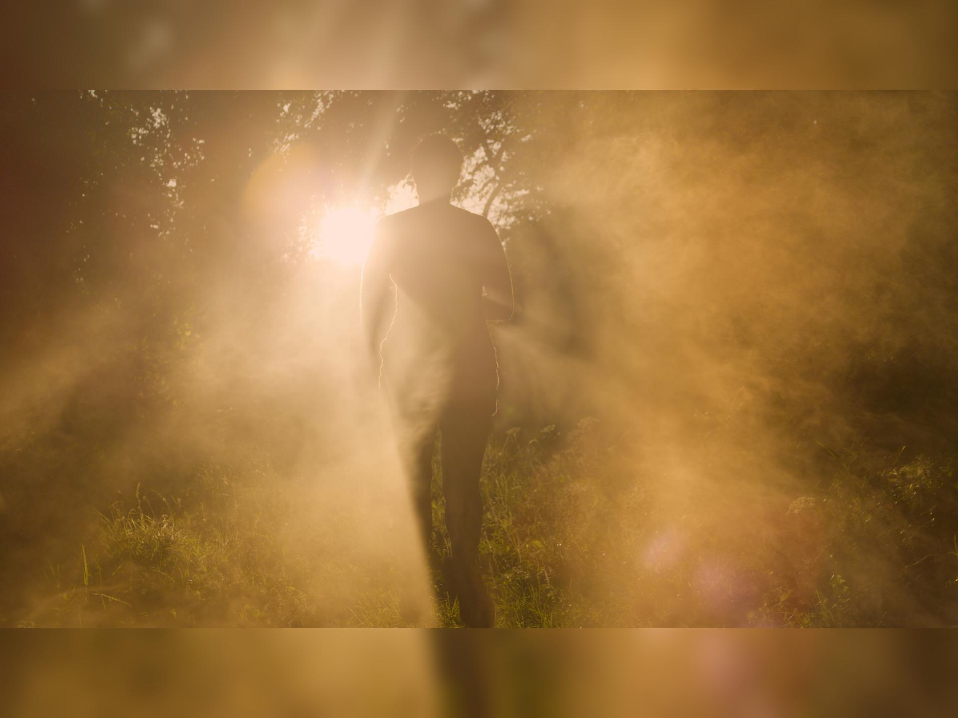 The Haunted Landscape 2026: Magic, Fairies and Old Gods