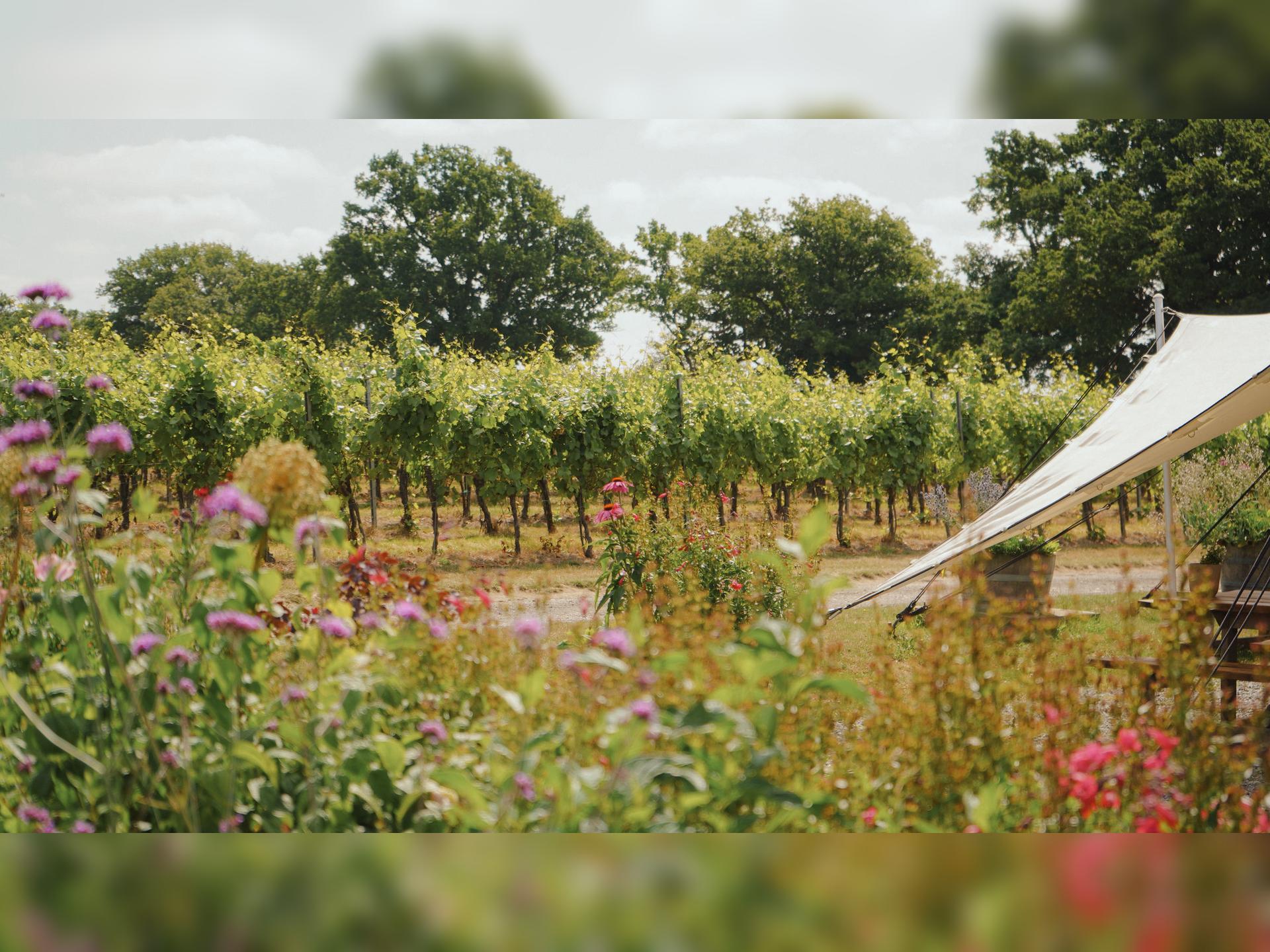Vineyard Platter for Two With Wine