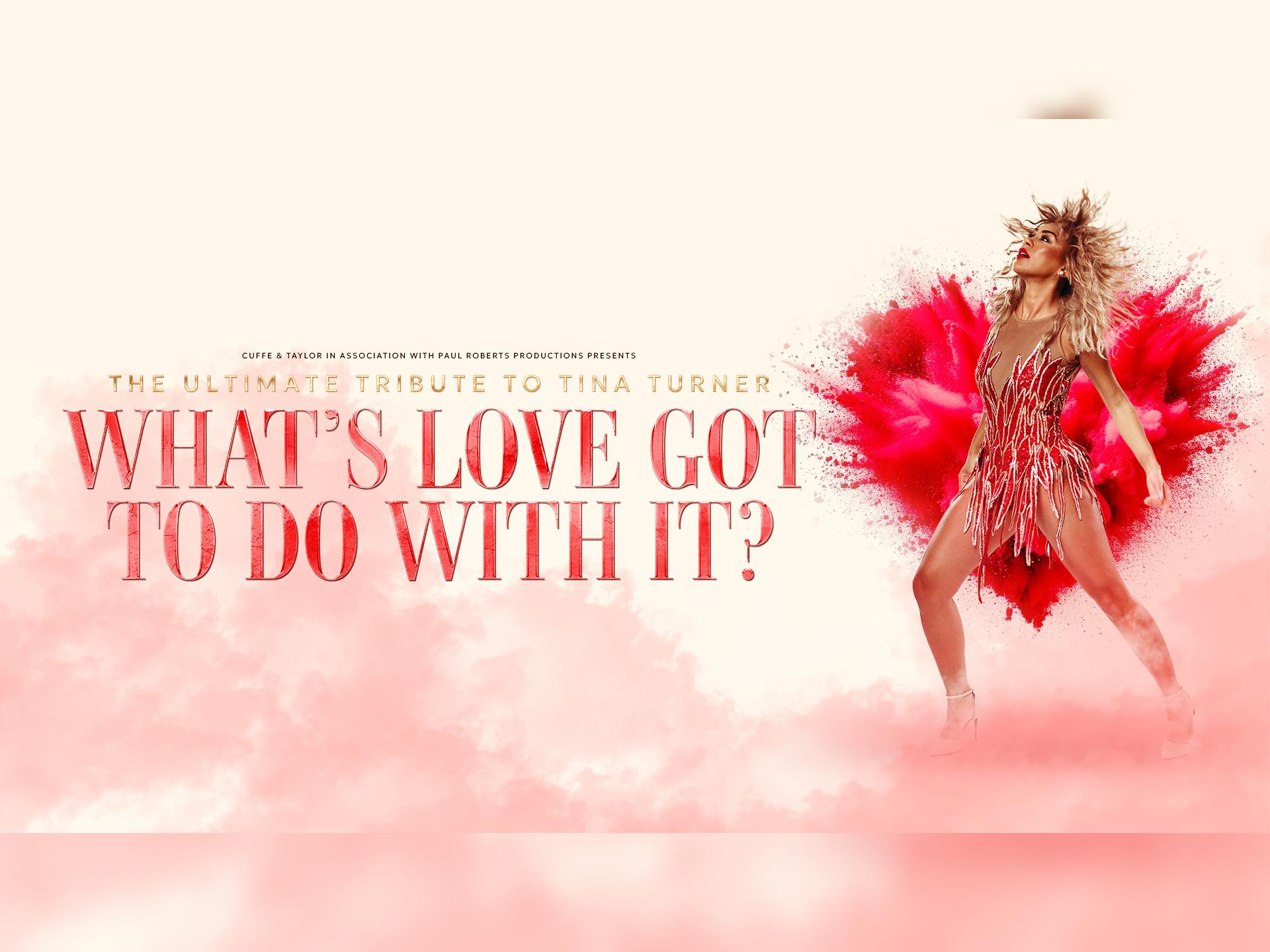 What's Love Got To Do With It?