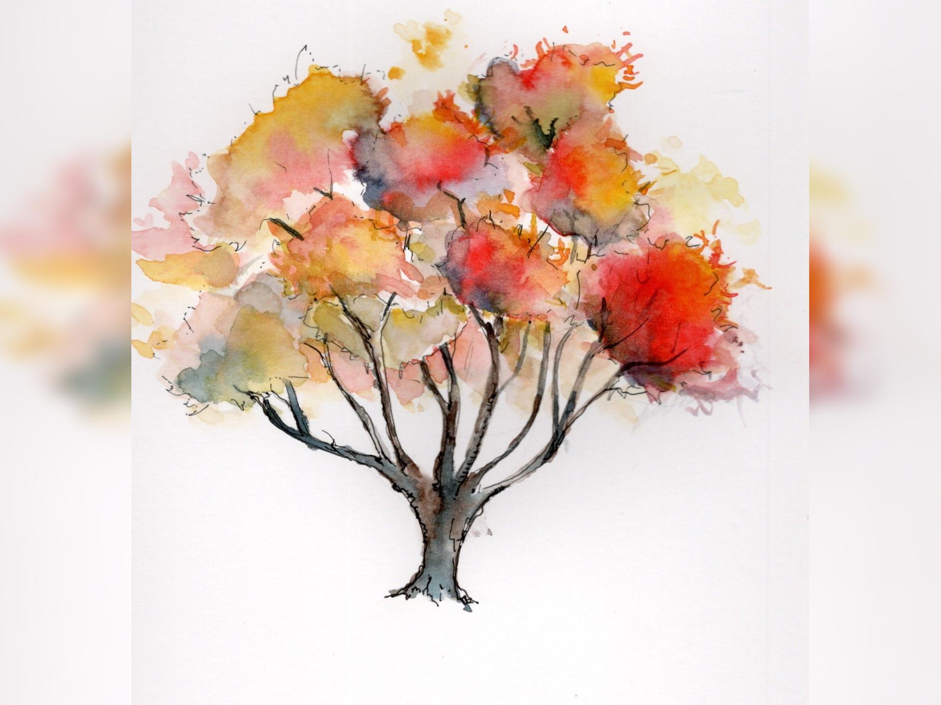 Autumn Flower Sketching October - One Day Course
