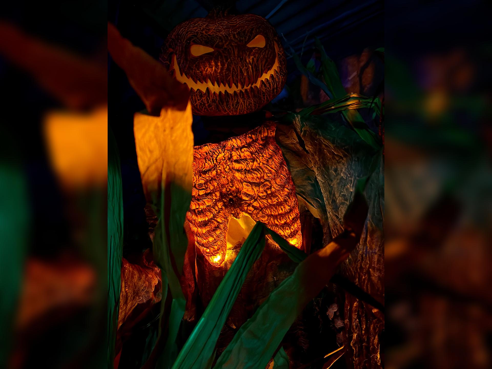 Billy Bob’s Halloween & Fall Festival 