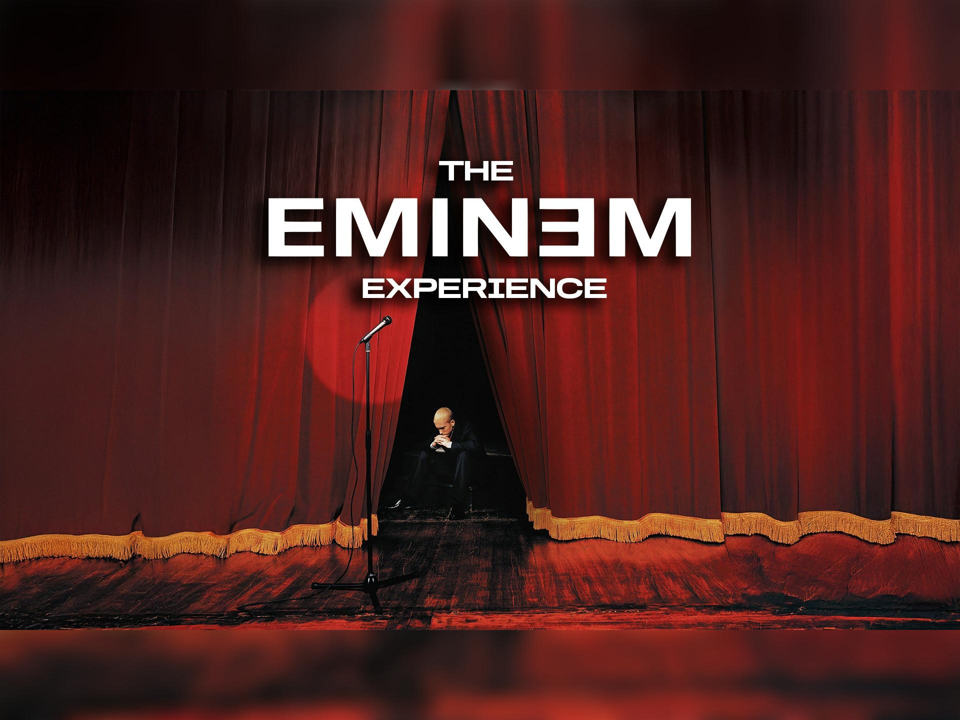 The Eminem Experience in Hull