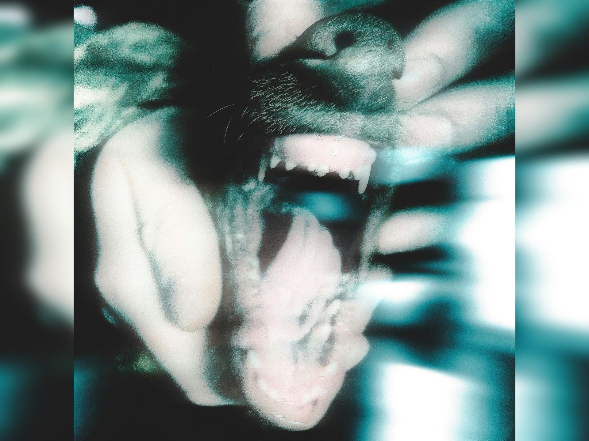 Puppy Teeth Debut Ep Release Show