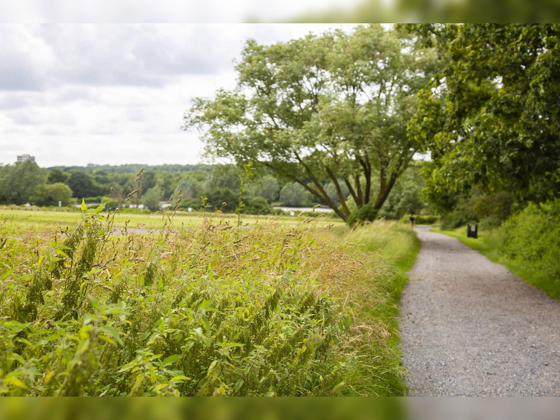 Hainault Forest Action Day