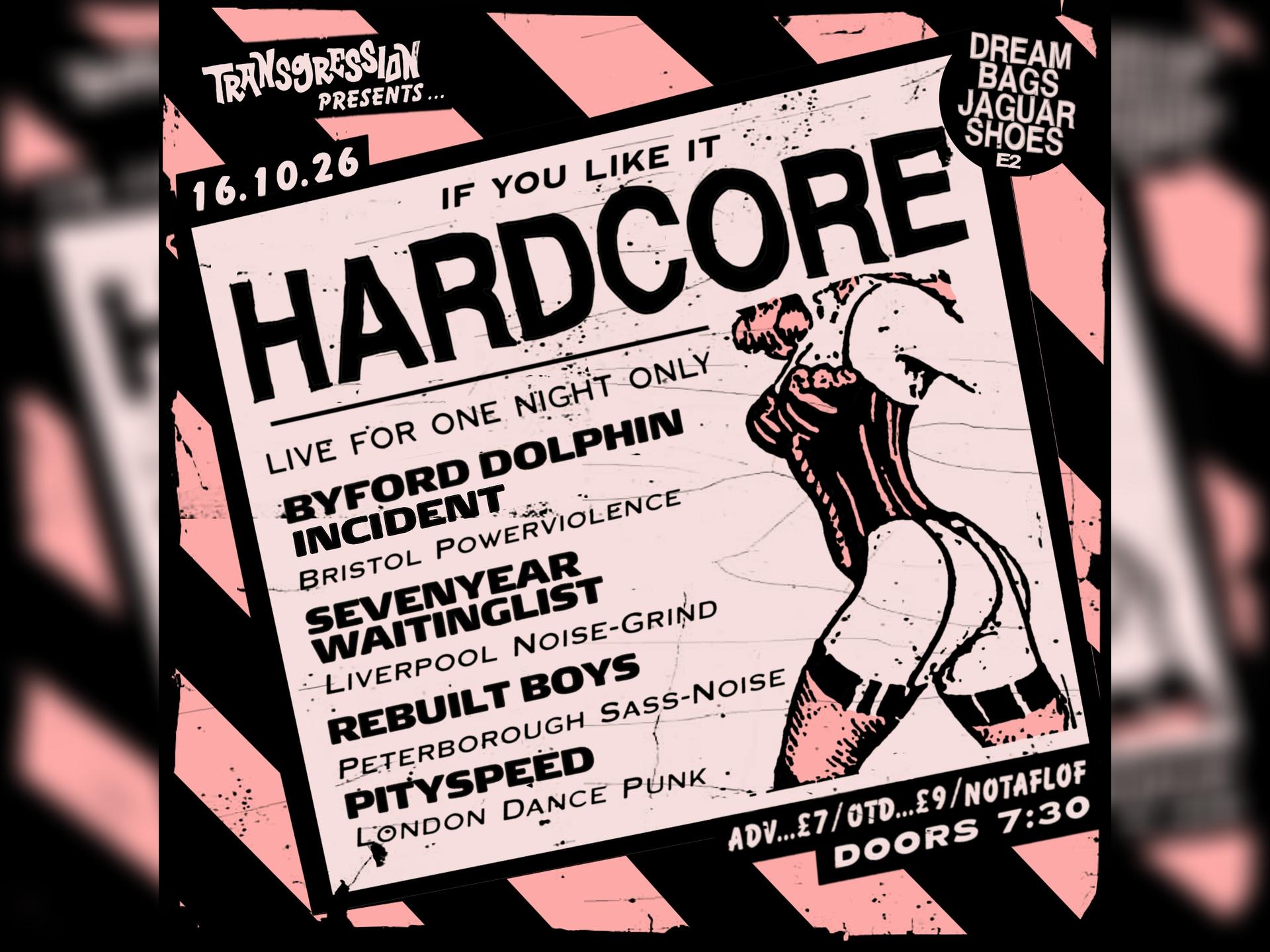 Transgression Presents: If You Like it Hardcore 3