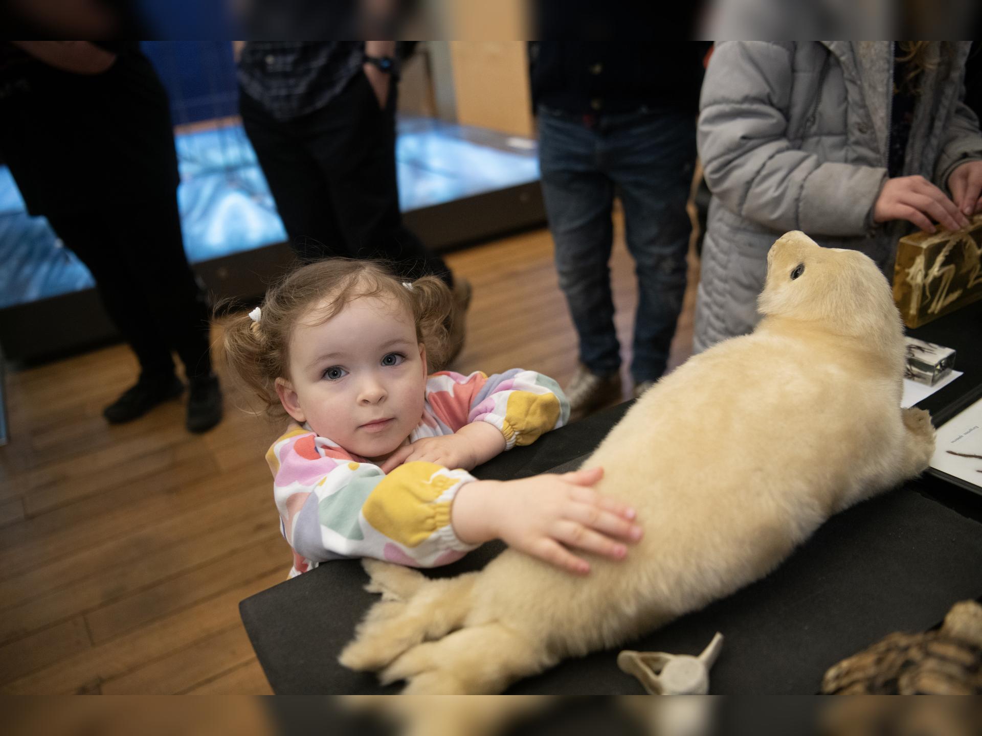 Mouse Tales - Storytime for Under 5S and Their Families
