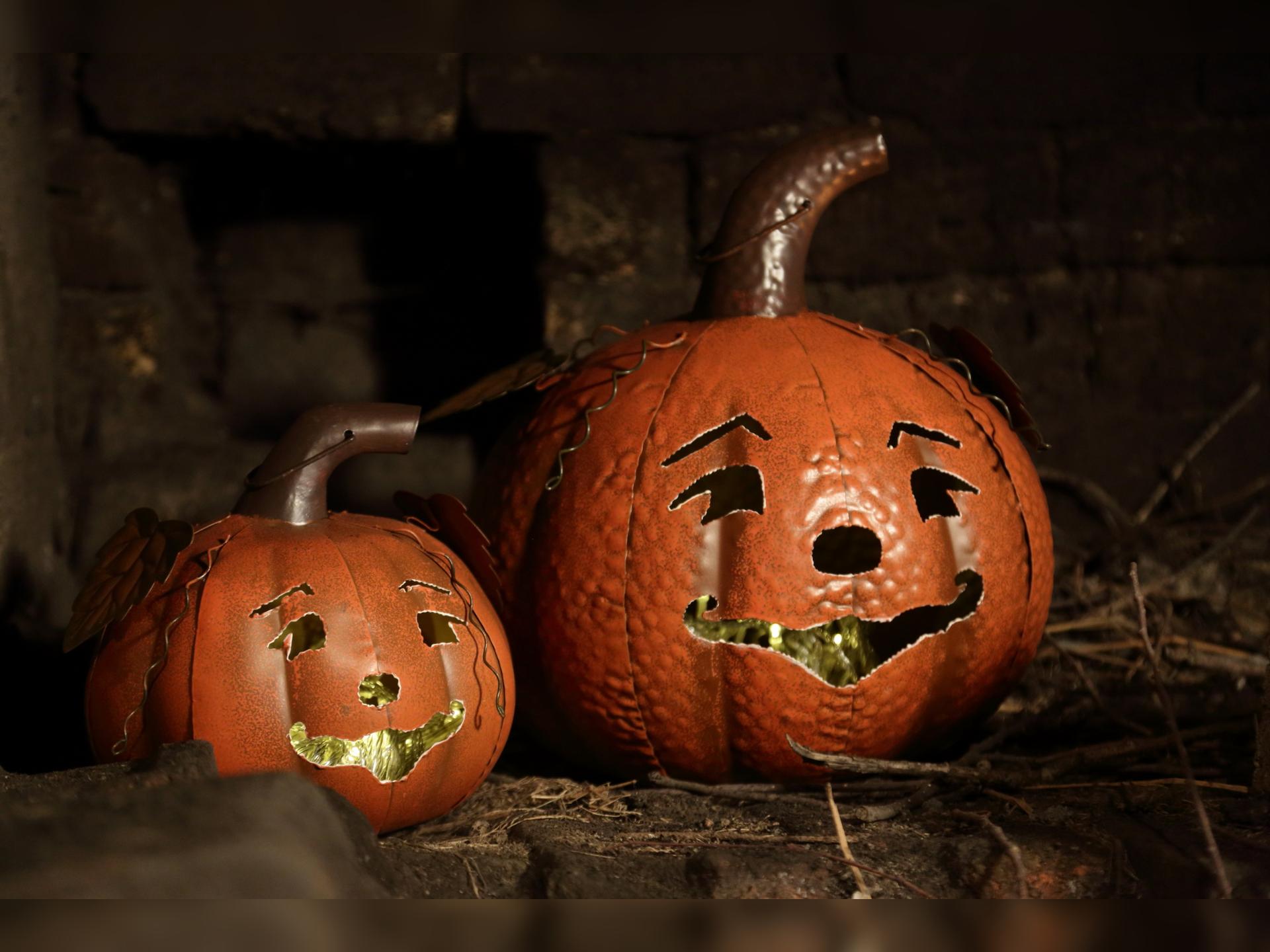 Pumpkin Trail
