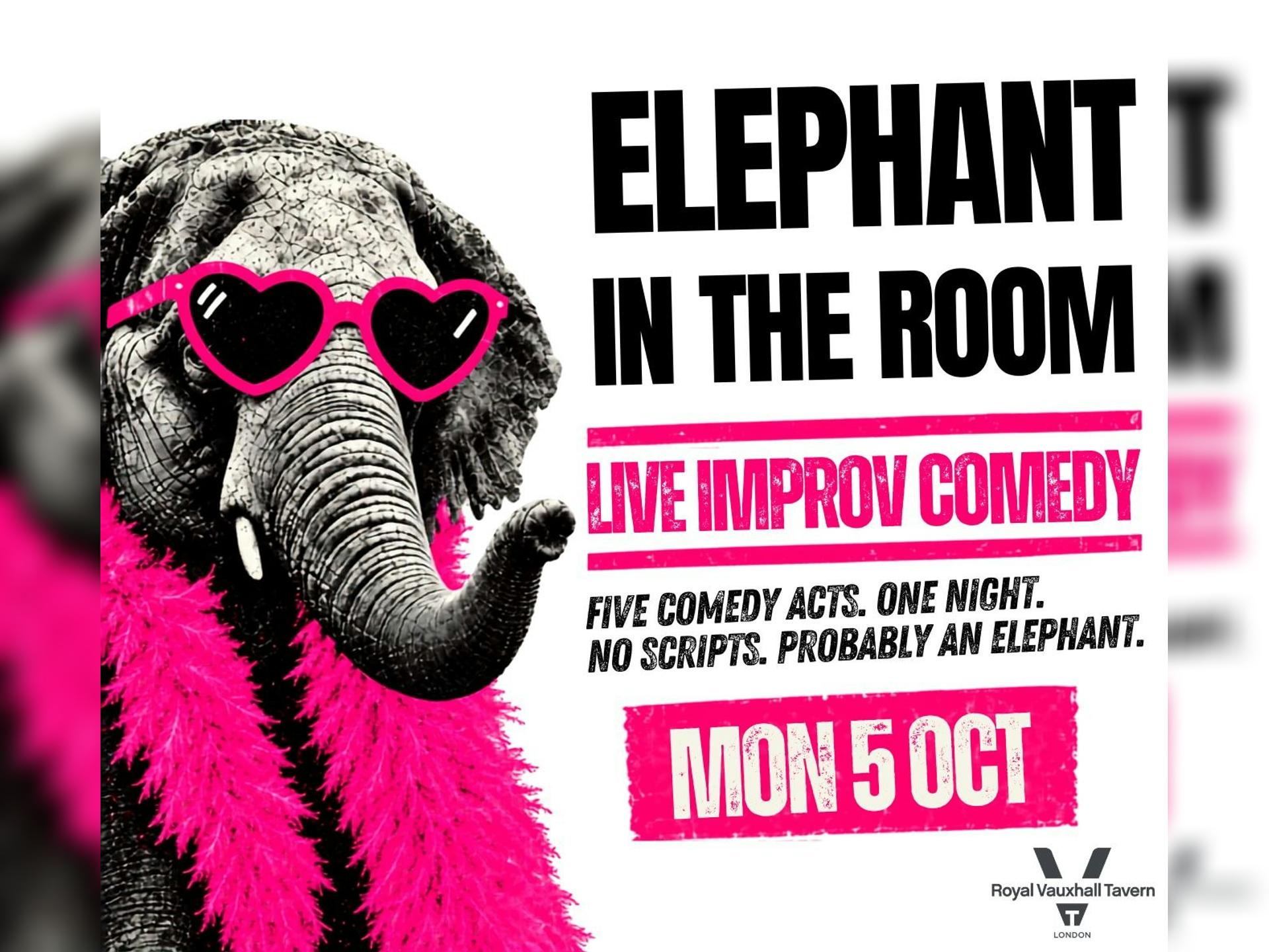 Elephant in the Room: Live Comedy Variety Show