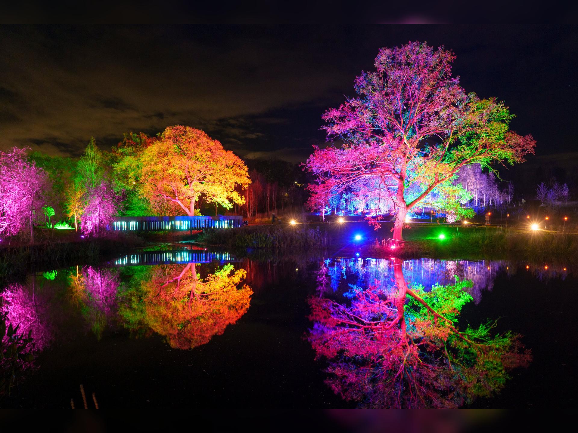 Glow at RHS Garden Harlow Carr