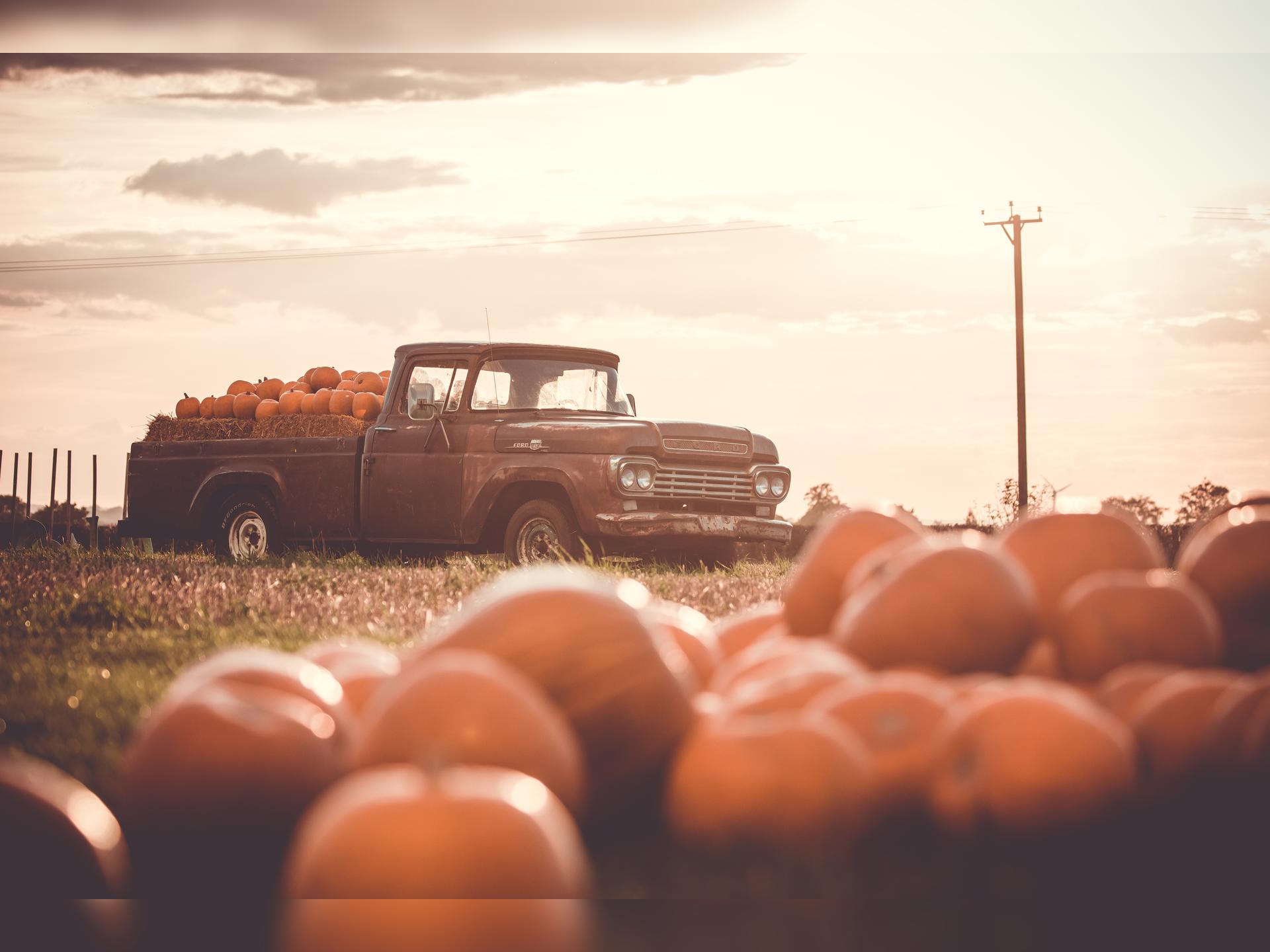 The Halloween Farm