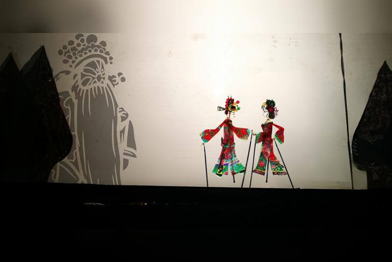 Peking Opera in Shadow