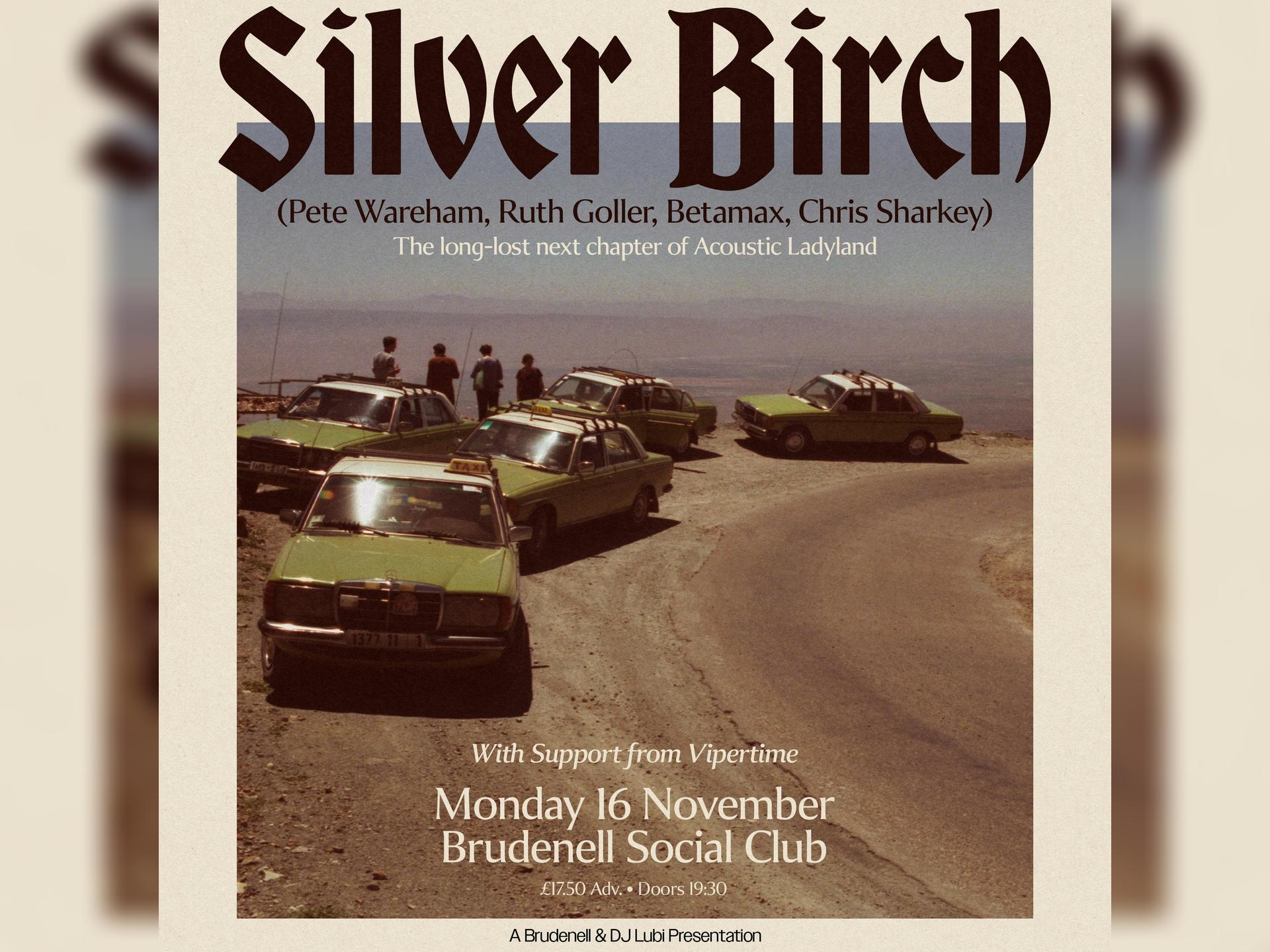 Silver Birch - the Lost Acoustic Ladyland Album
