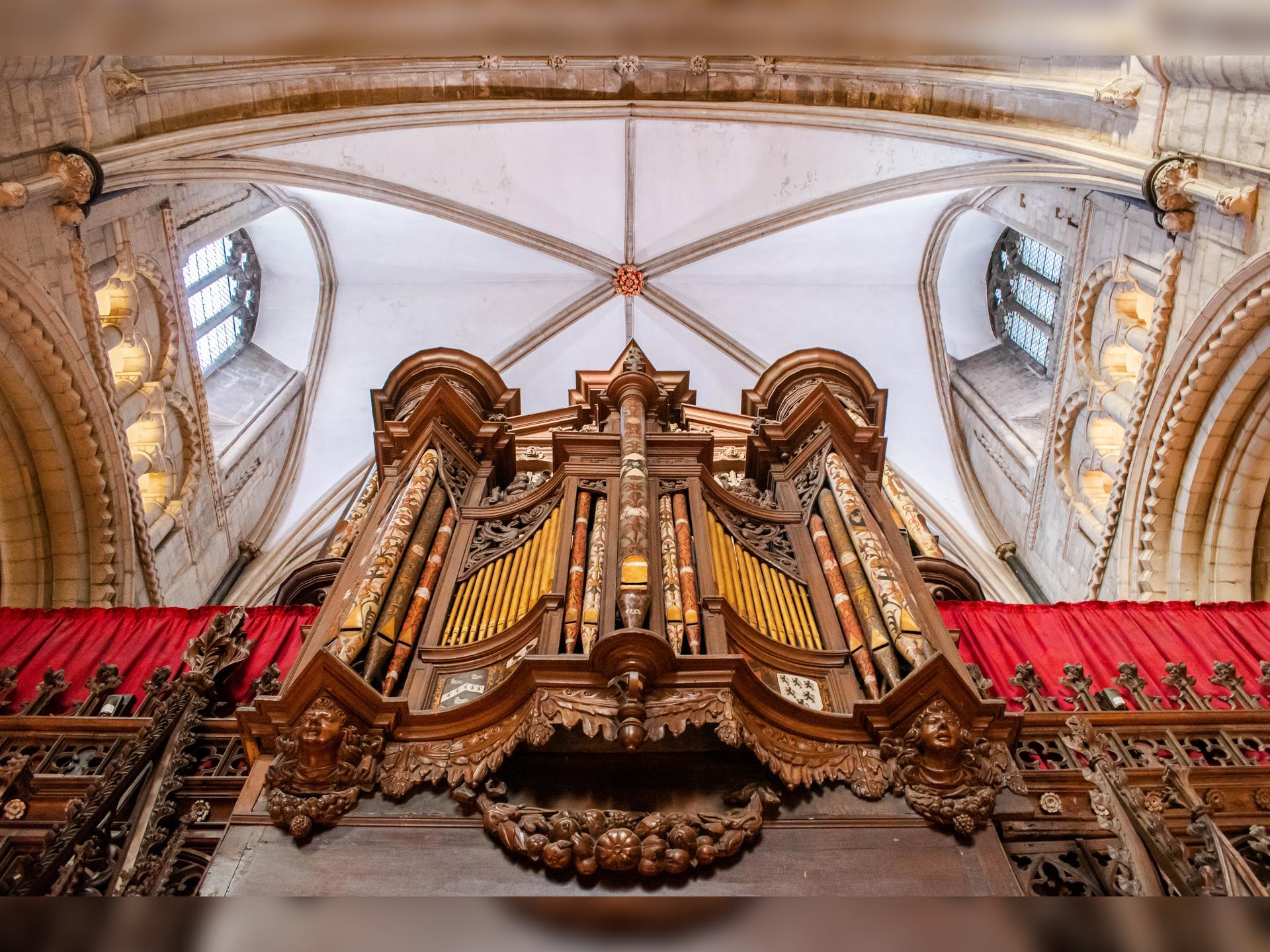 Organ Concert: Rachel Mahon