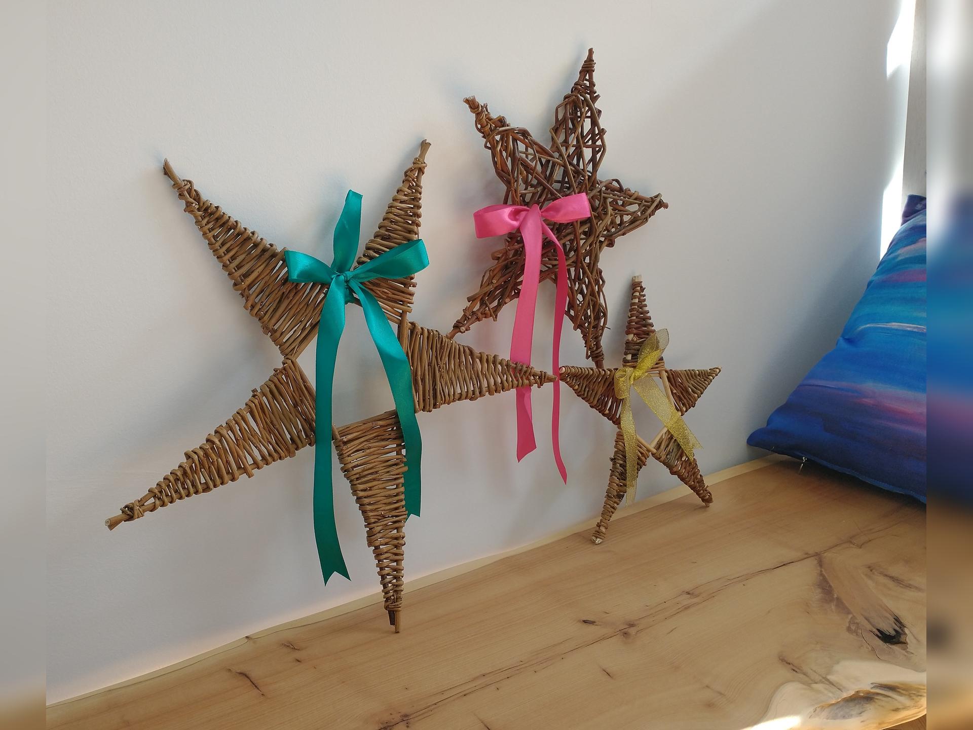 Willow star workshop