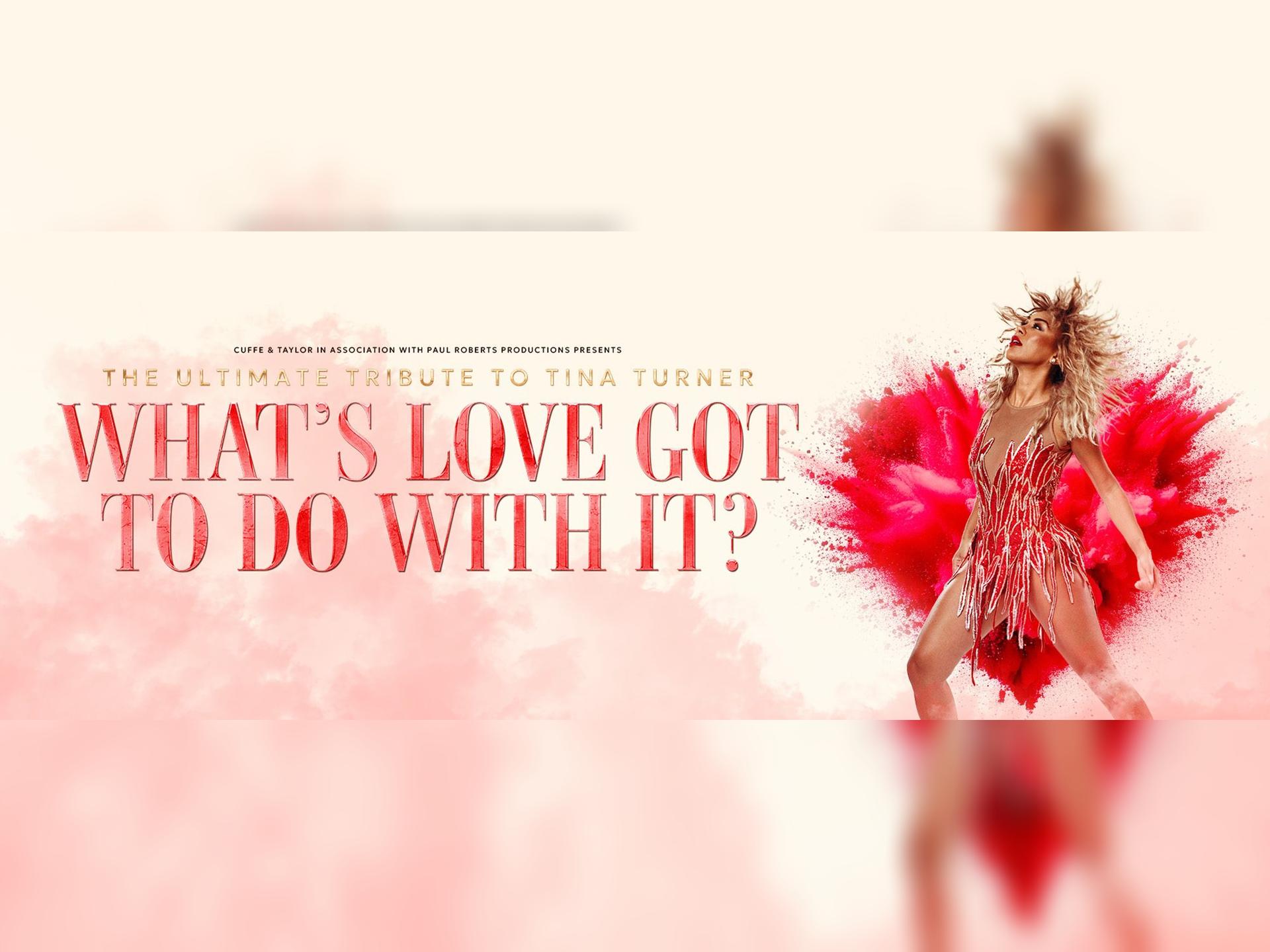 What's Love Got To Do With It?