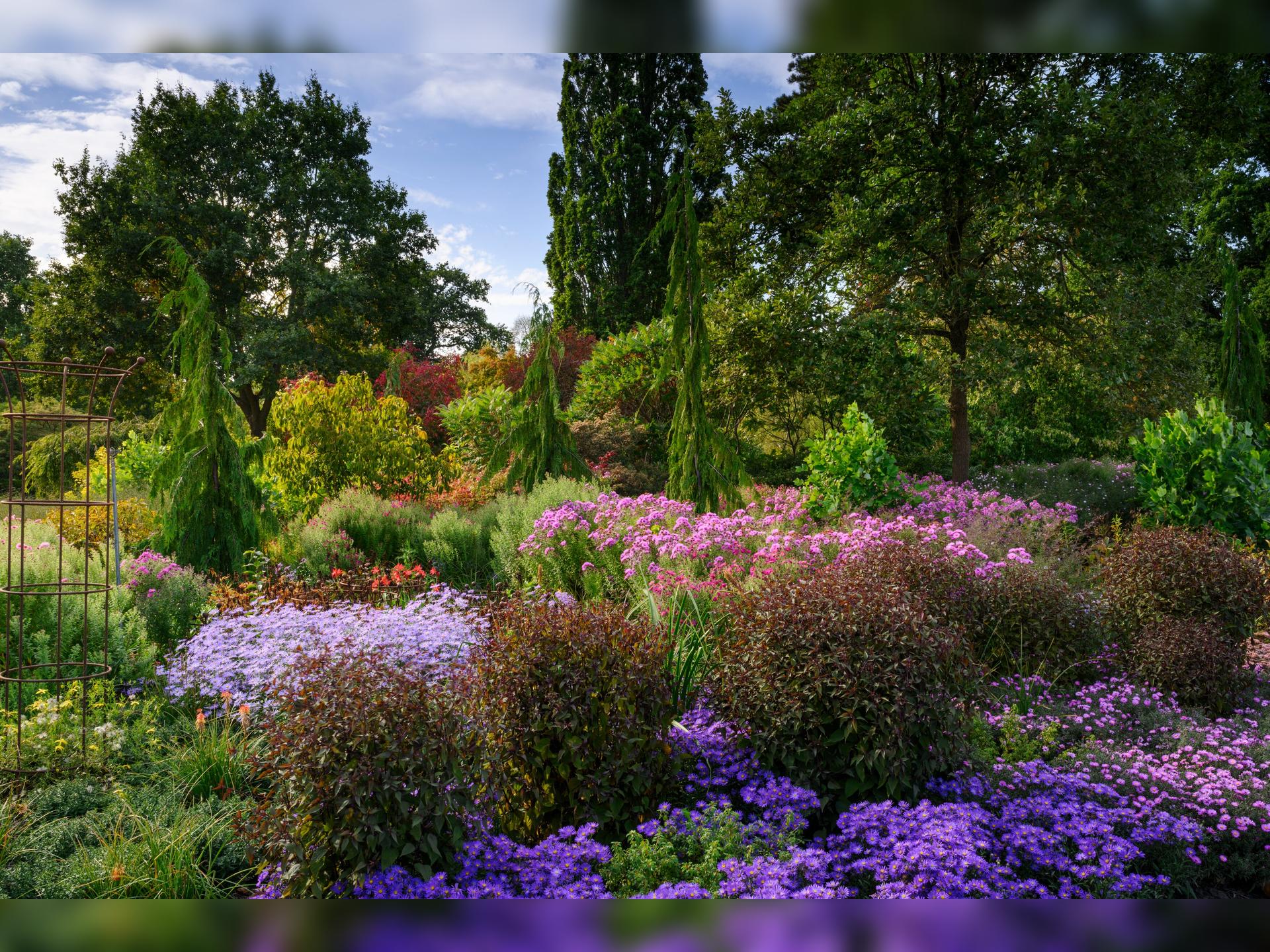 Evening Online Talks from RHS Garden Wisley