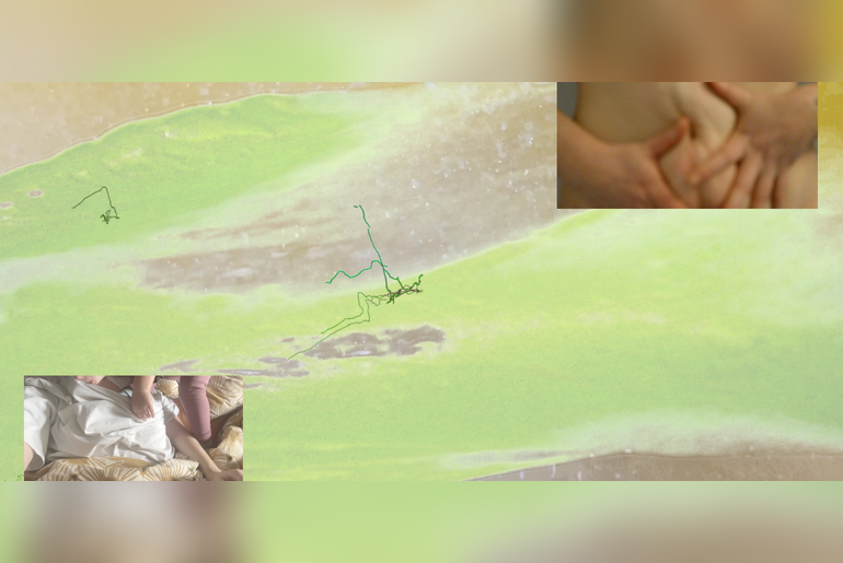 MUMS - A Shared Story of Motherhood